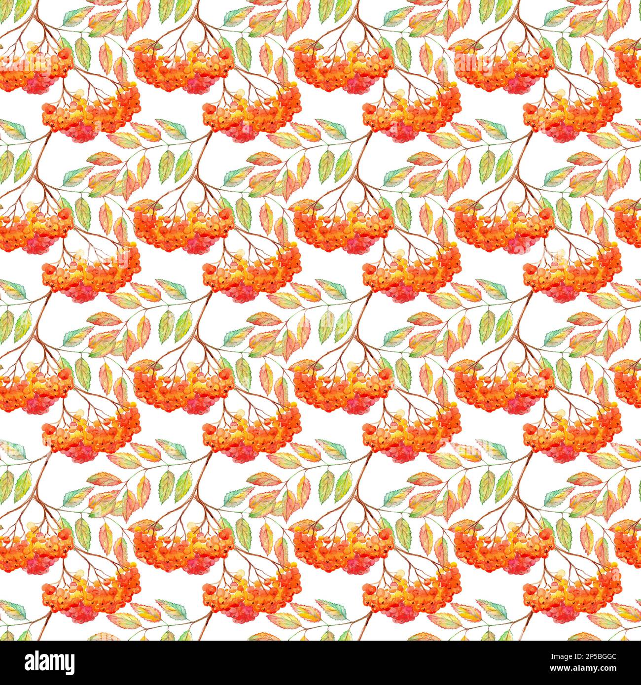 Watercolor rowan ashberry leaf branch seamless pattern Stock Photo - Alamy