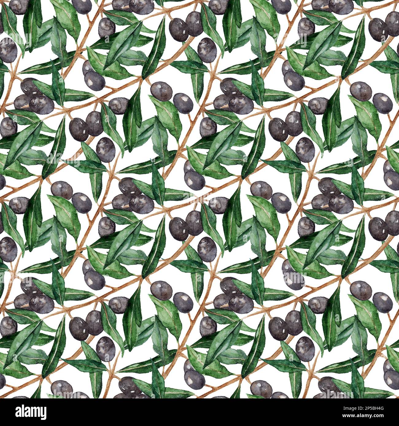 Olive oliva branch seamless pattern texture background Stock Photo Alamy