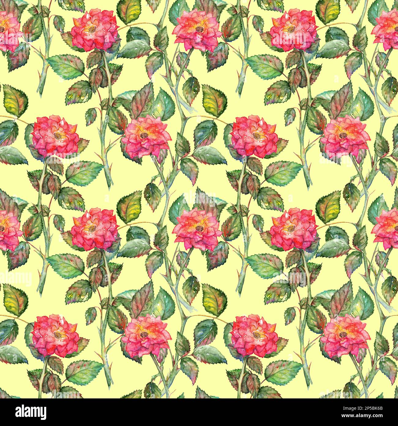 Watercolor pink roses seamless pattern texture background Stock Photo ...