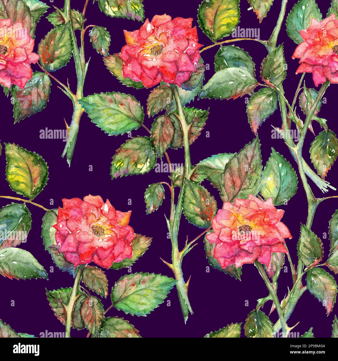 Watercolor pink roses seamless pattern texture background Stock Photo ...
