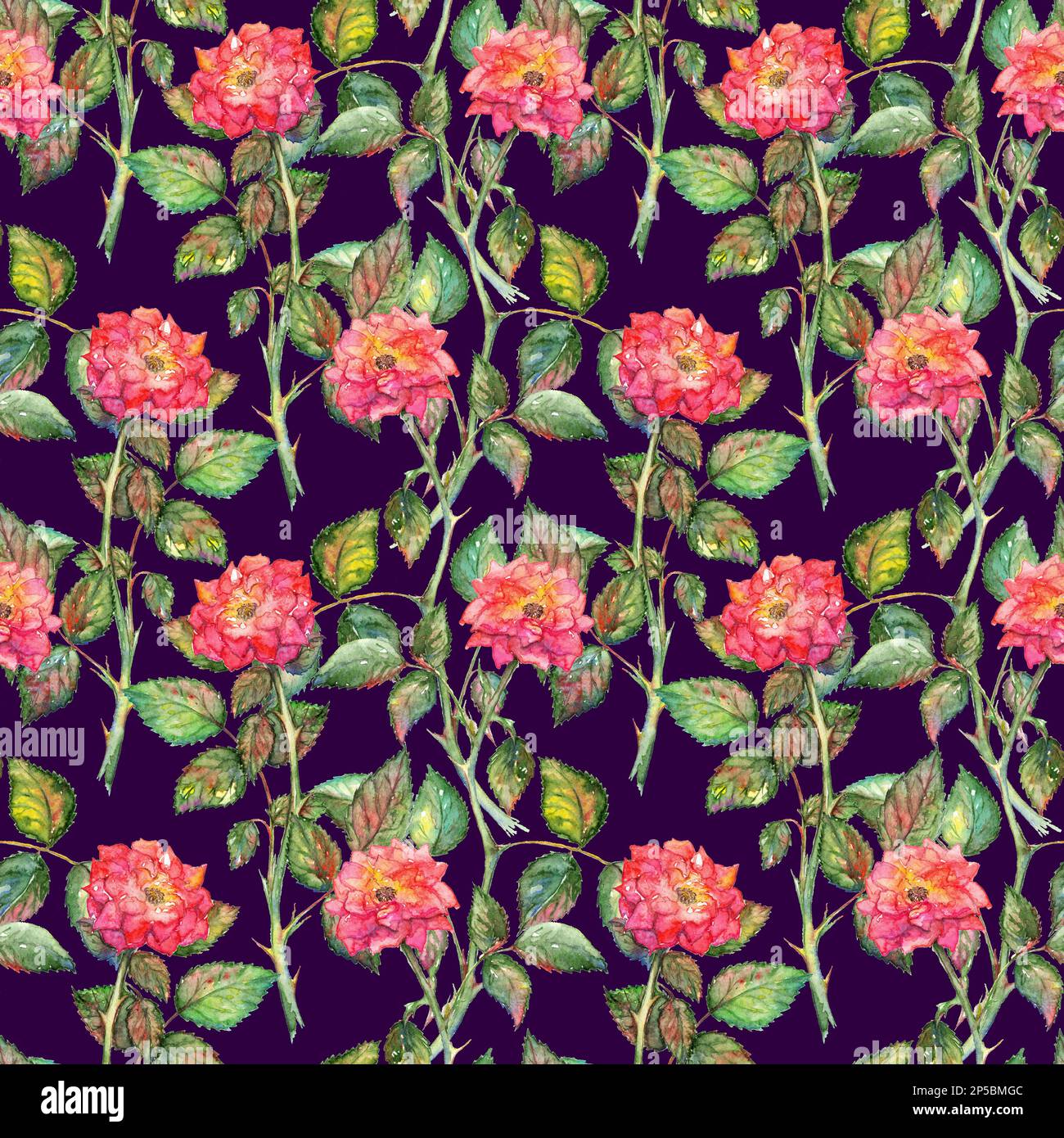 Watercolor pink roses seamless pattern texture background Stock Photo ...