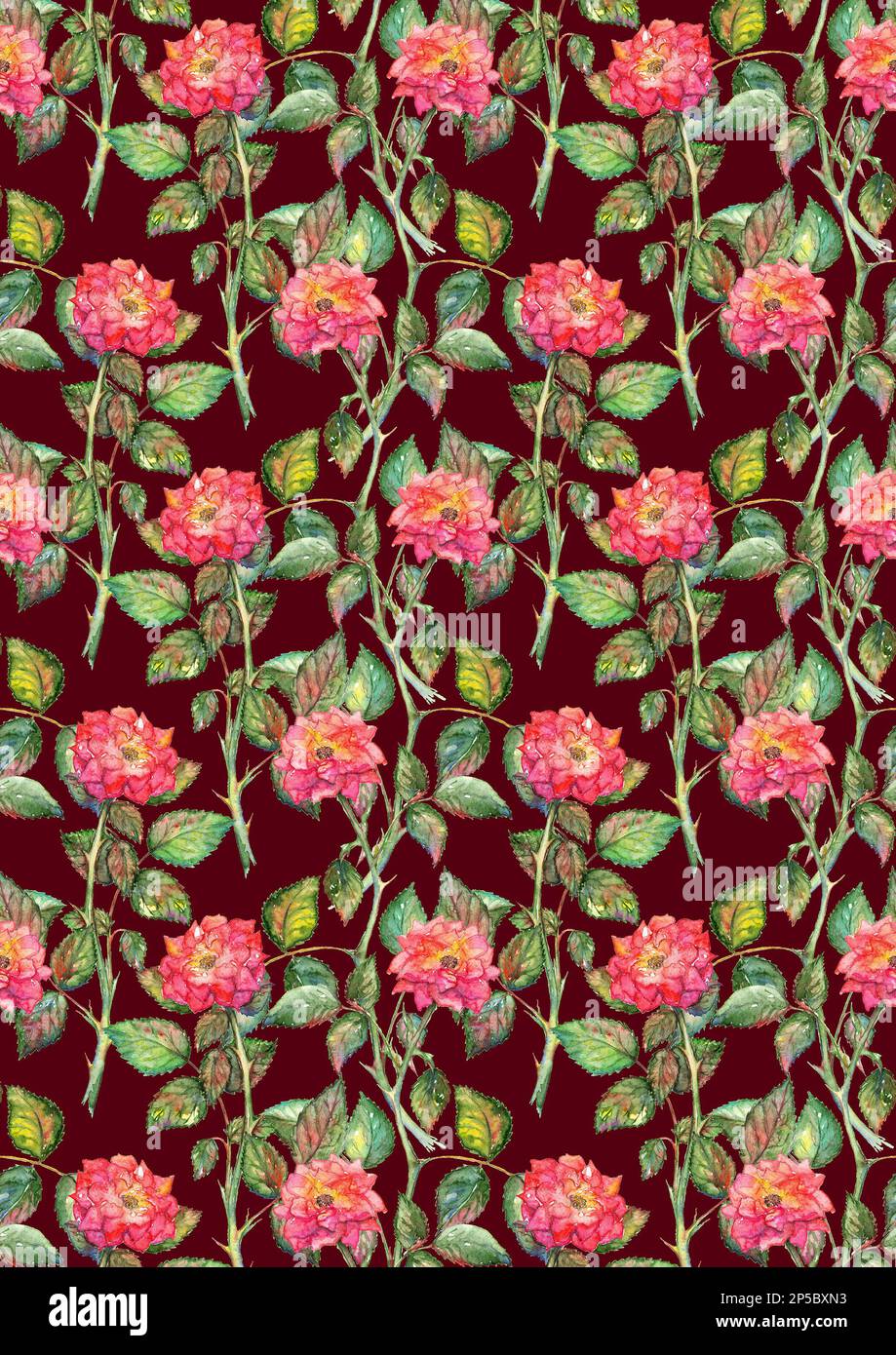 Watercolor pink rose flower floral pattern texture background Stock ...