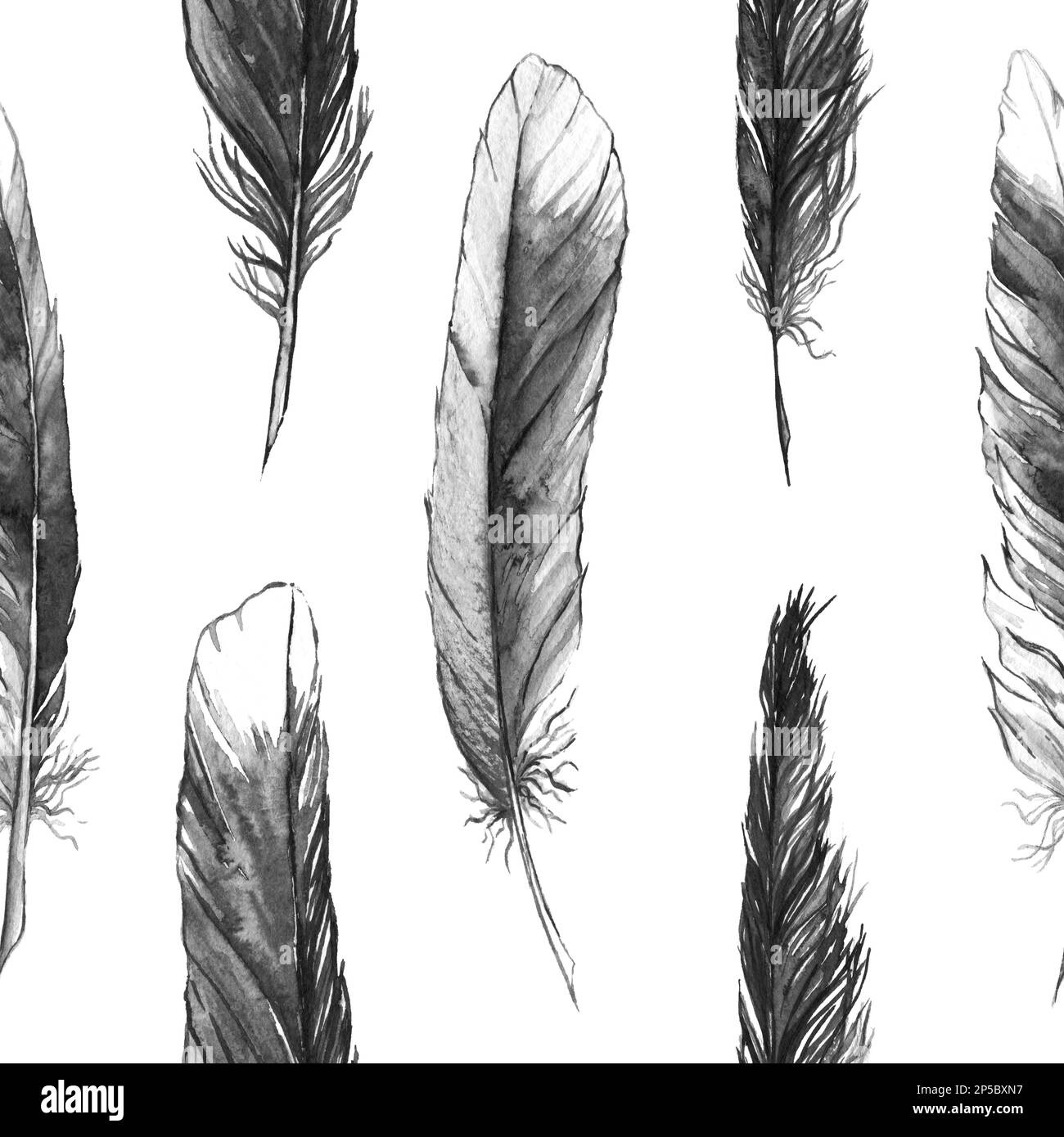 Watercolor black and white monochrome feather seamless pattern Stock