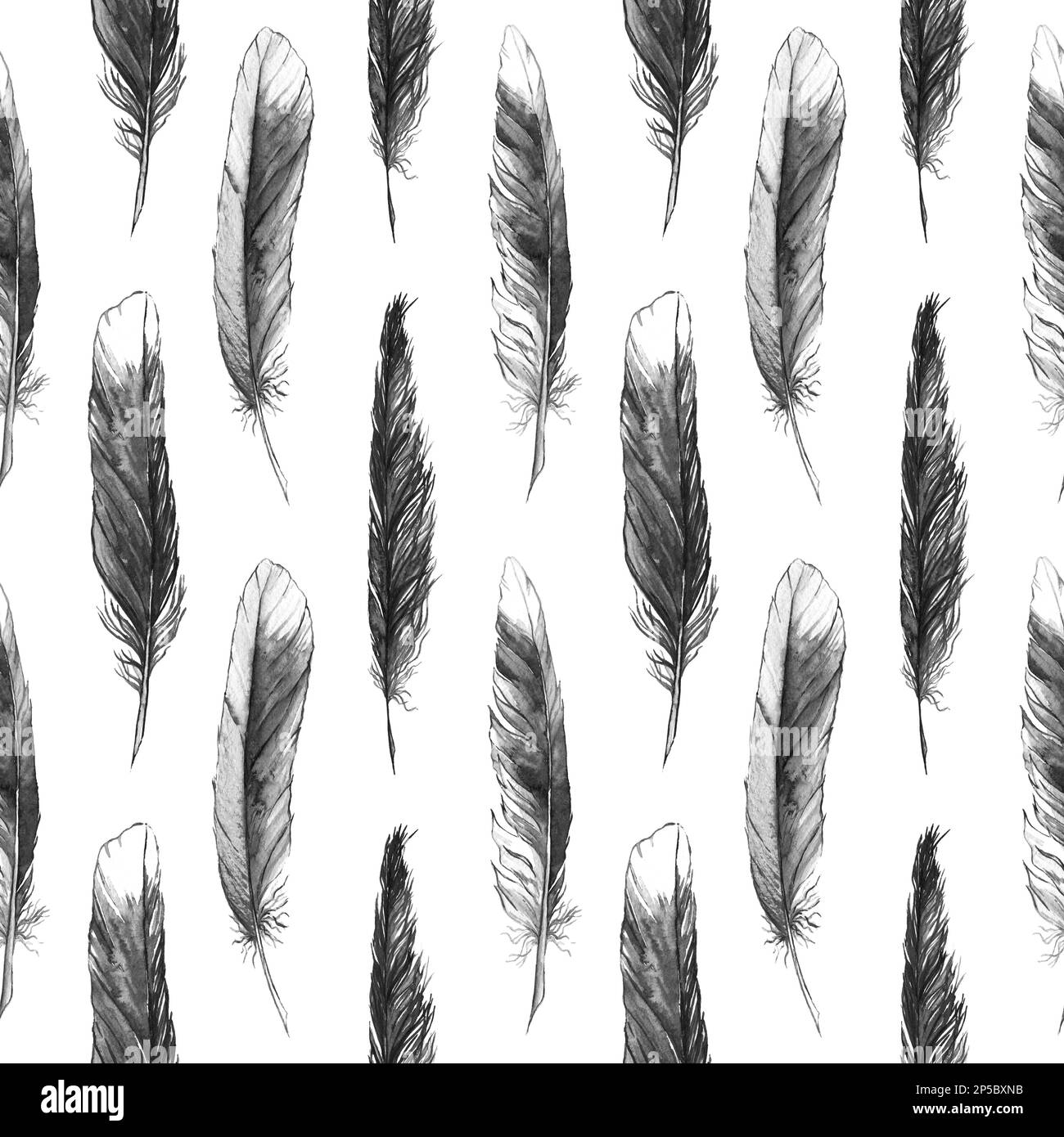 Watercolor black and white monochrome feather seamless pattern Stock