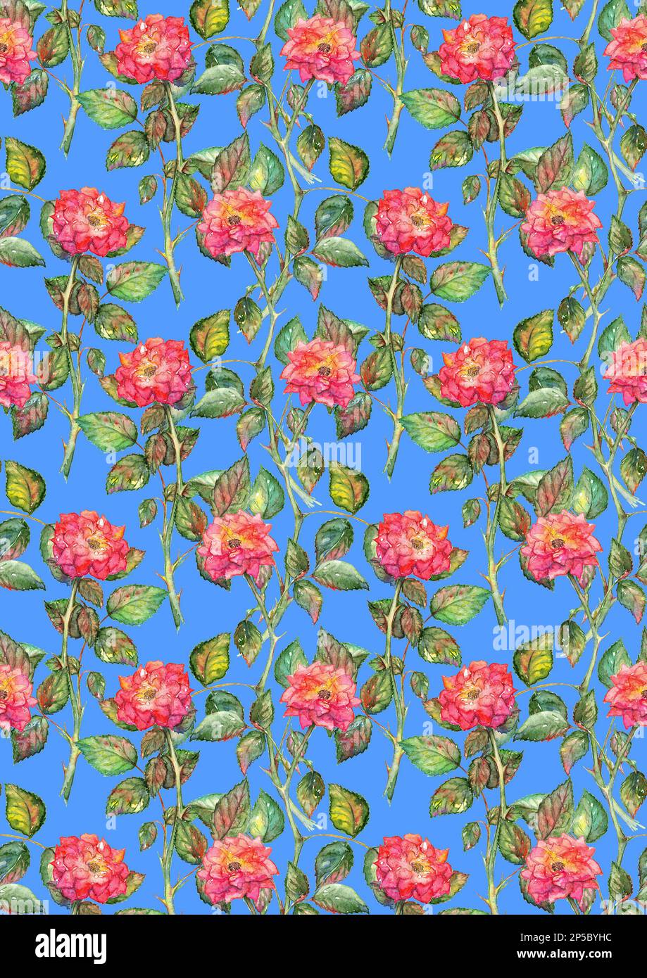 Watercolor pink rose flower floral pattern texture background Stock ...