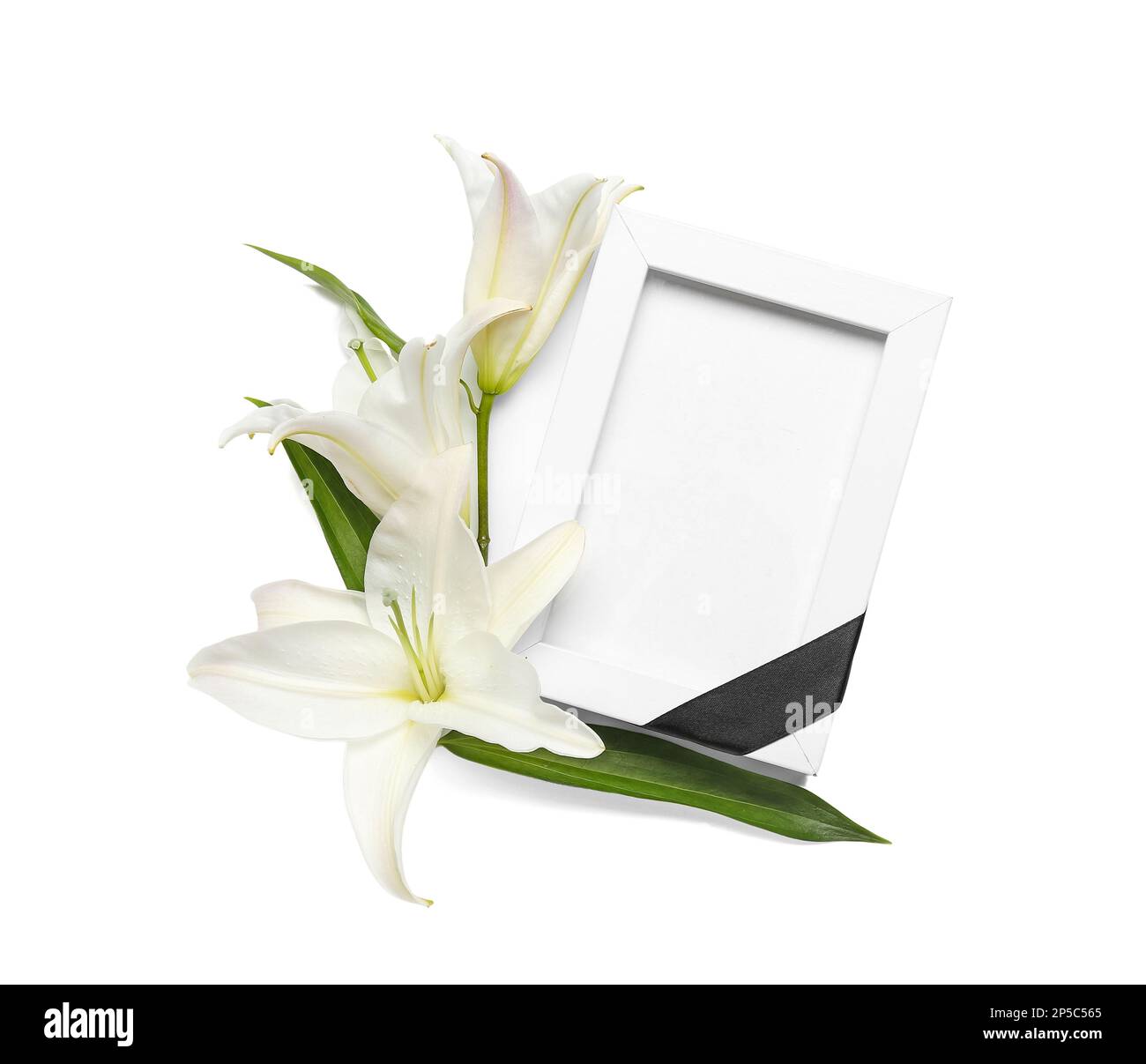 Blank funeral frame and beautiful lily flowers on white background