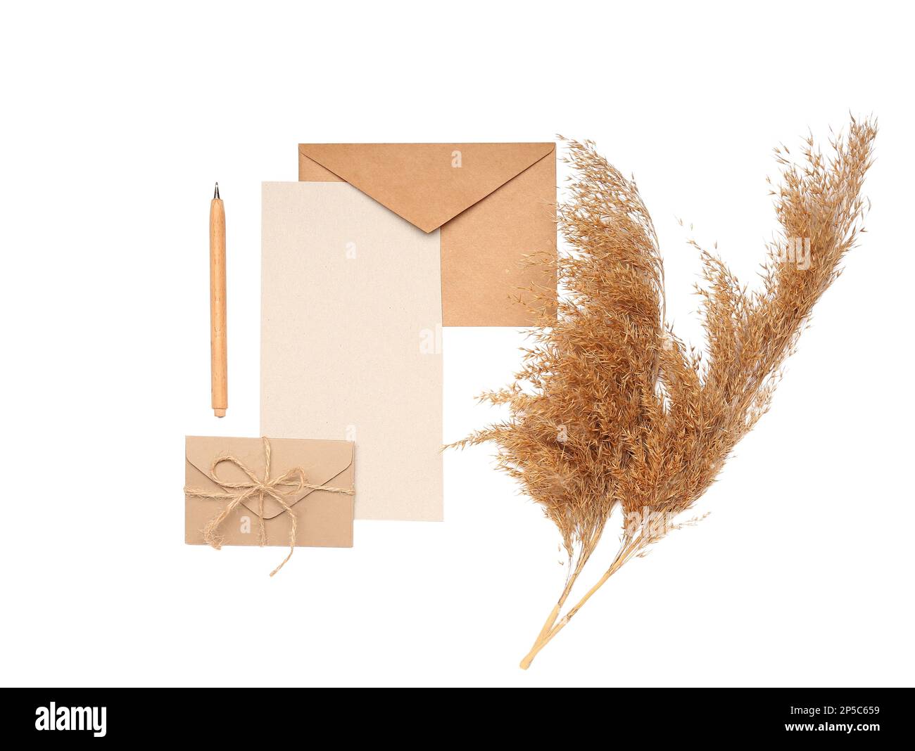 Composition with blank card, envelopes, pen and pampas grass on white background Stock Photo