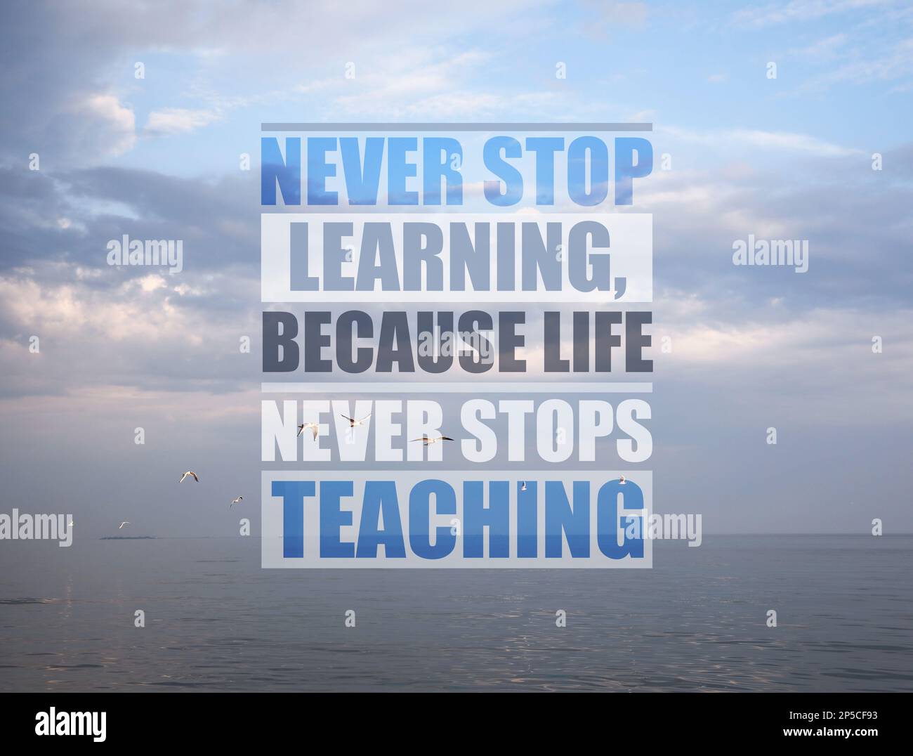 Never Stop Learning Because Life Never Stops Teaching