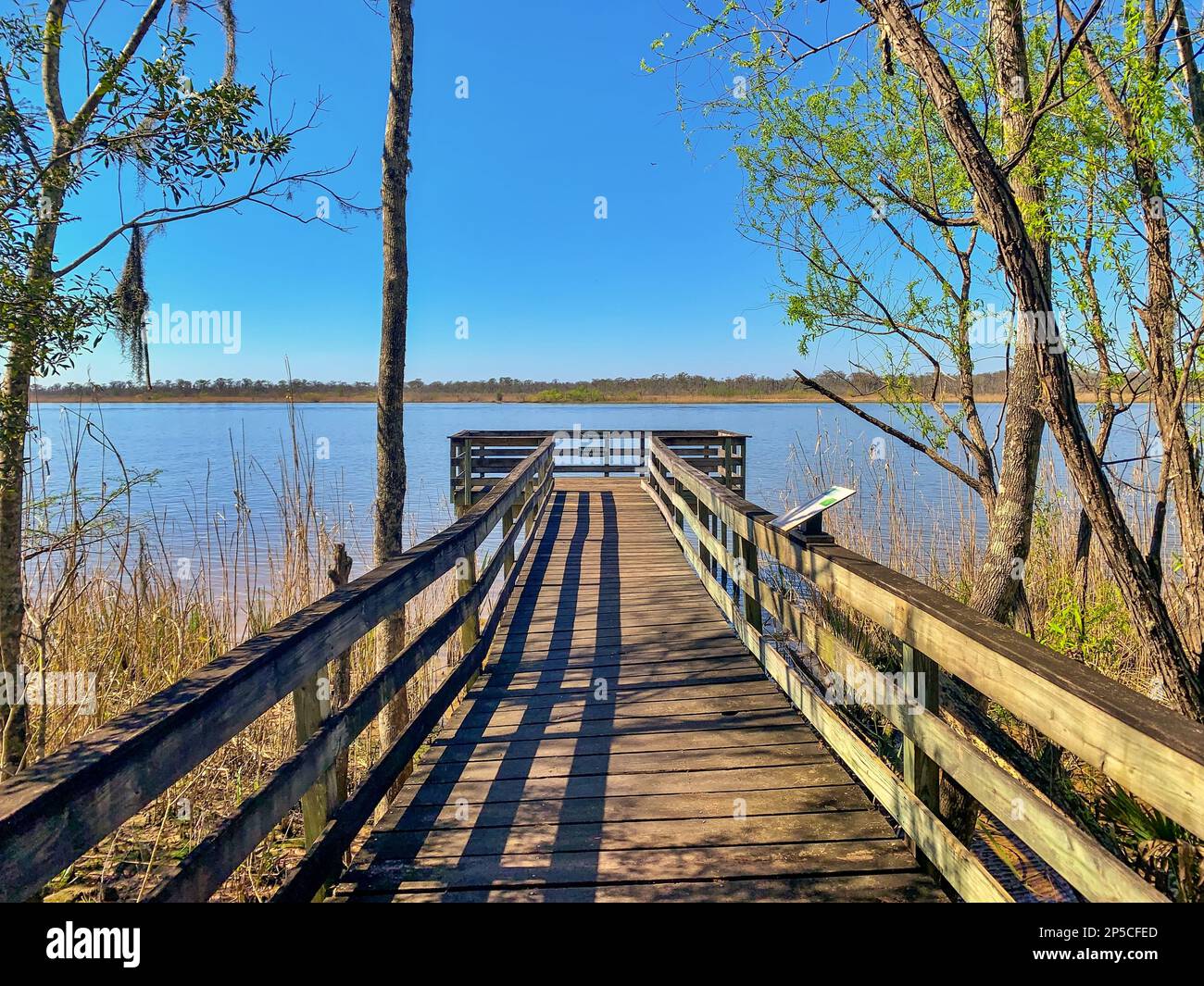 Blakeley State Park waterfront Stock Photo - Alamy