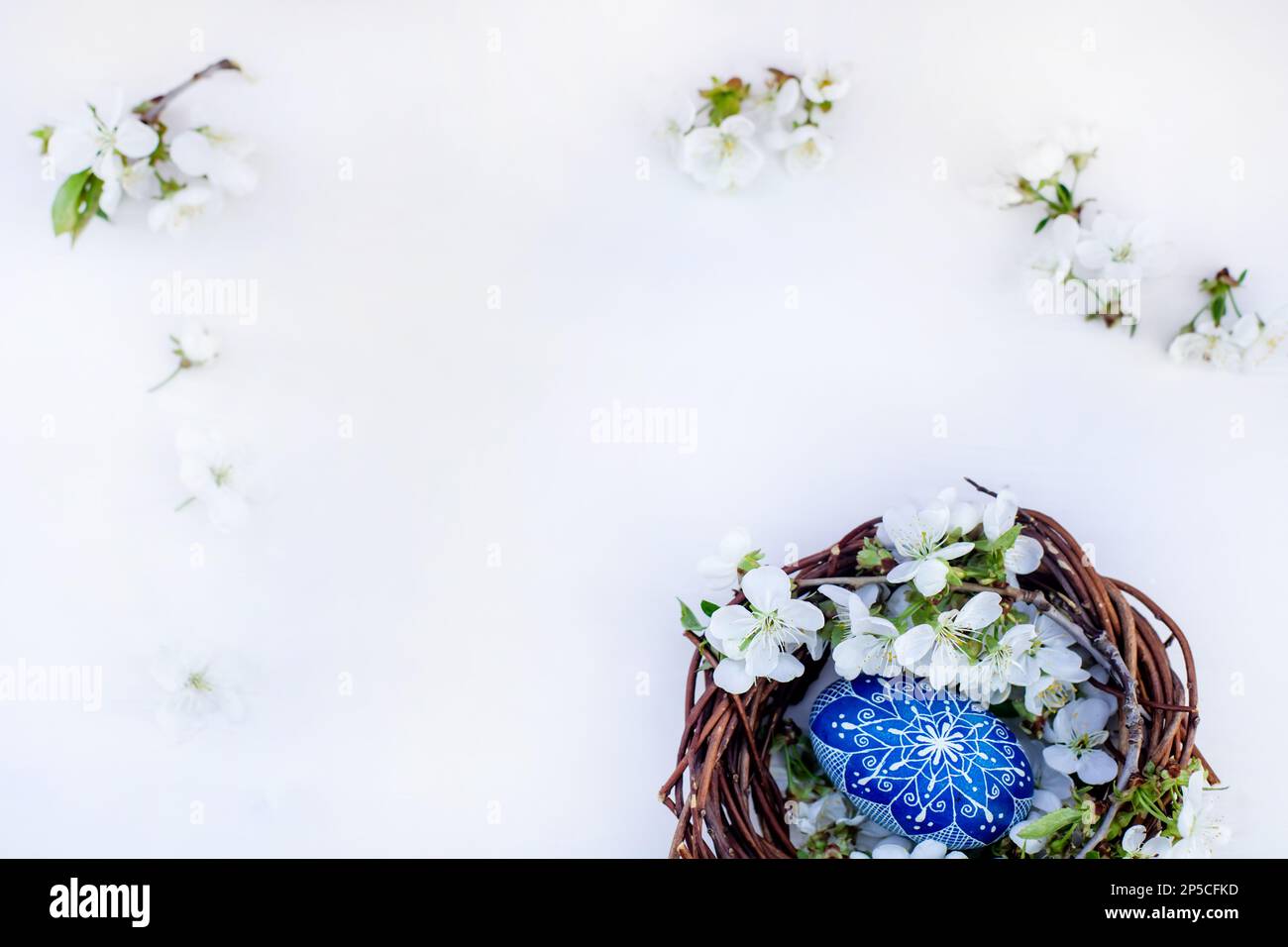 nest with Easter eggs and branches of spring flowering cherries on a ...