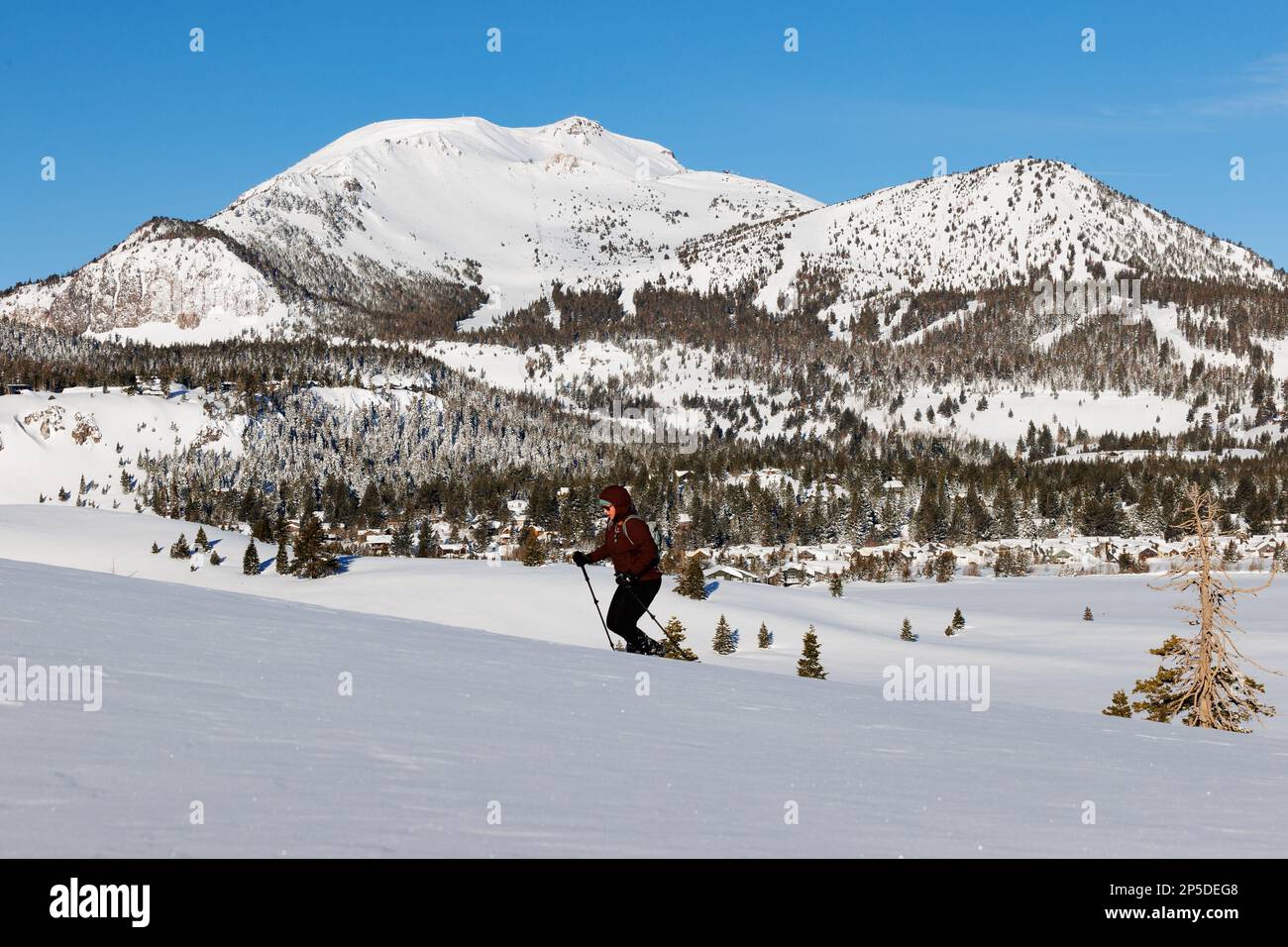 A woman snowshoes with a view of snow-covered Mammoth Mountain ski resort with blue skies after a record snowfall. Stock Photo