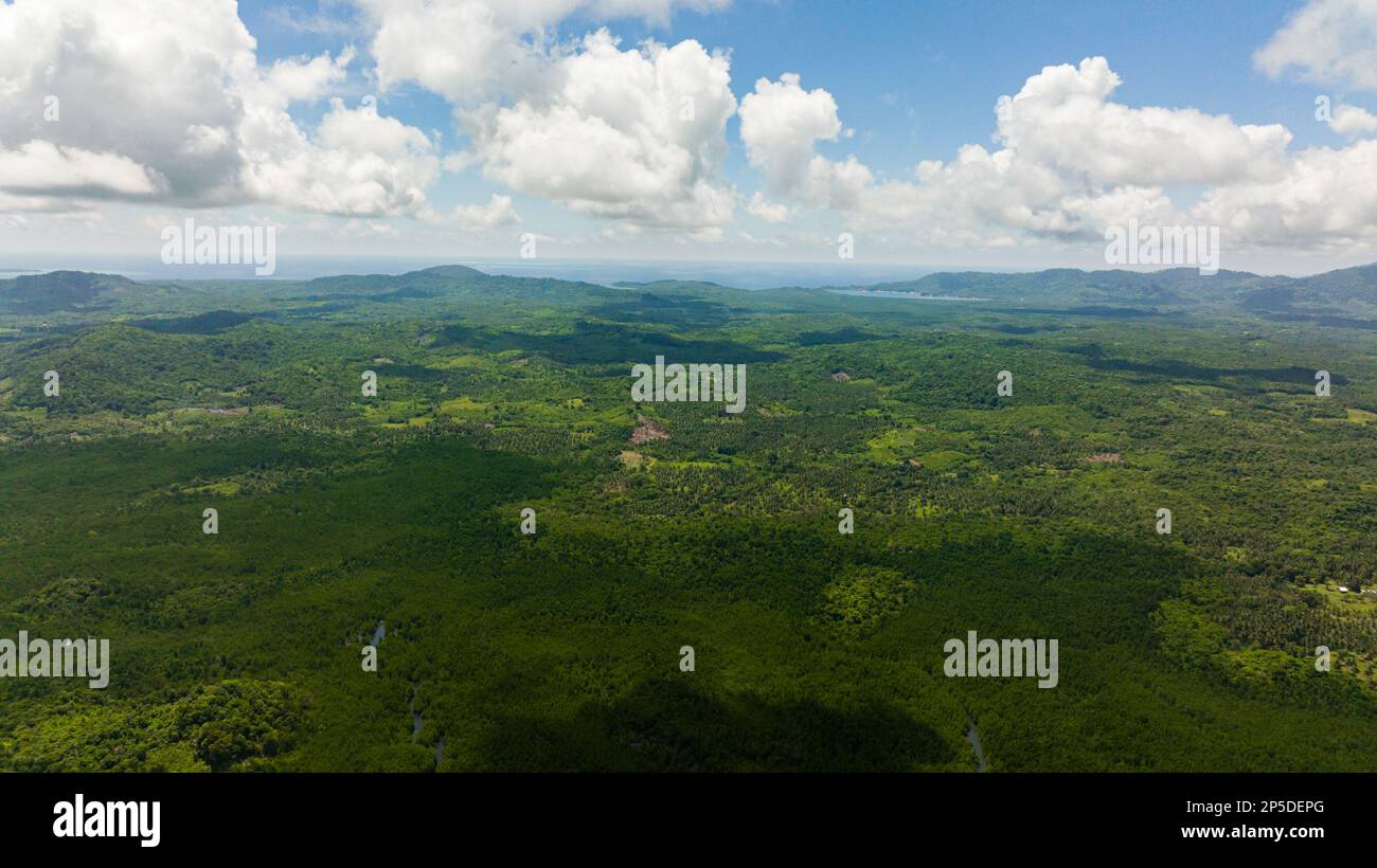 Aerial view of Agricultural land in the mountains among the jungle and