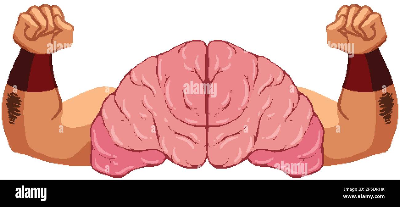Brain with Strong Arms Vector illustration Stock Vector Image & Art Alamy