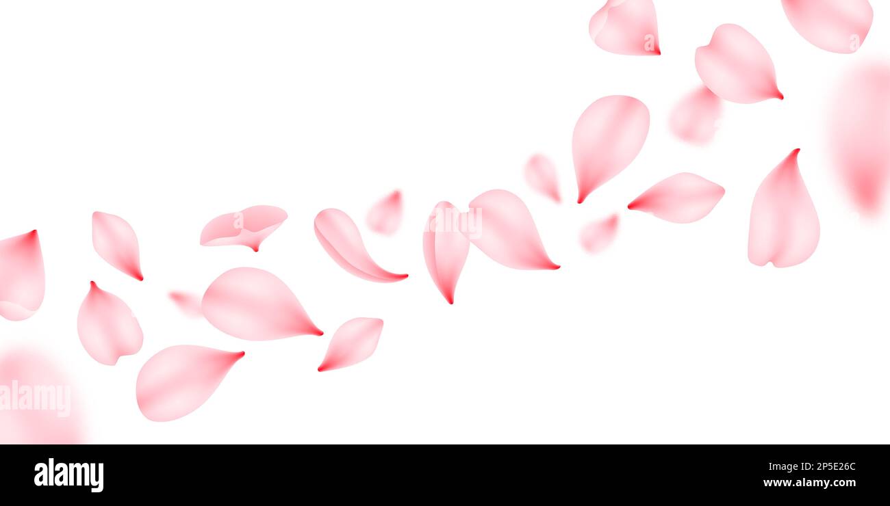 Red and pink roses petals are falling down Stock Vector Image