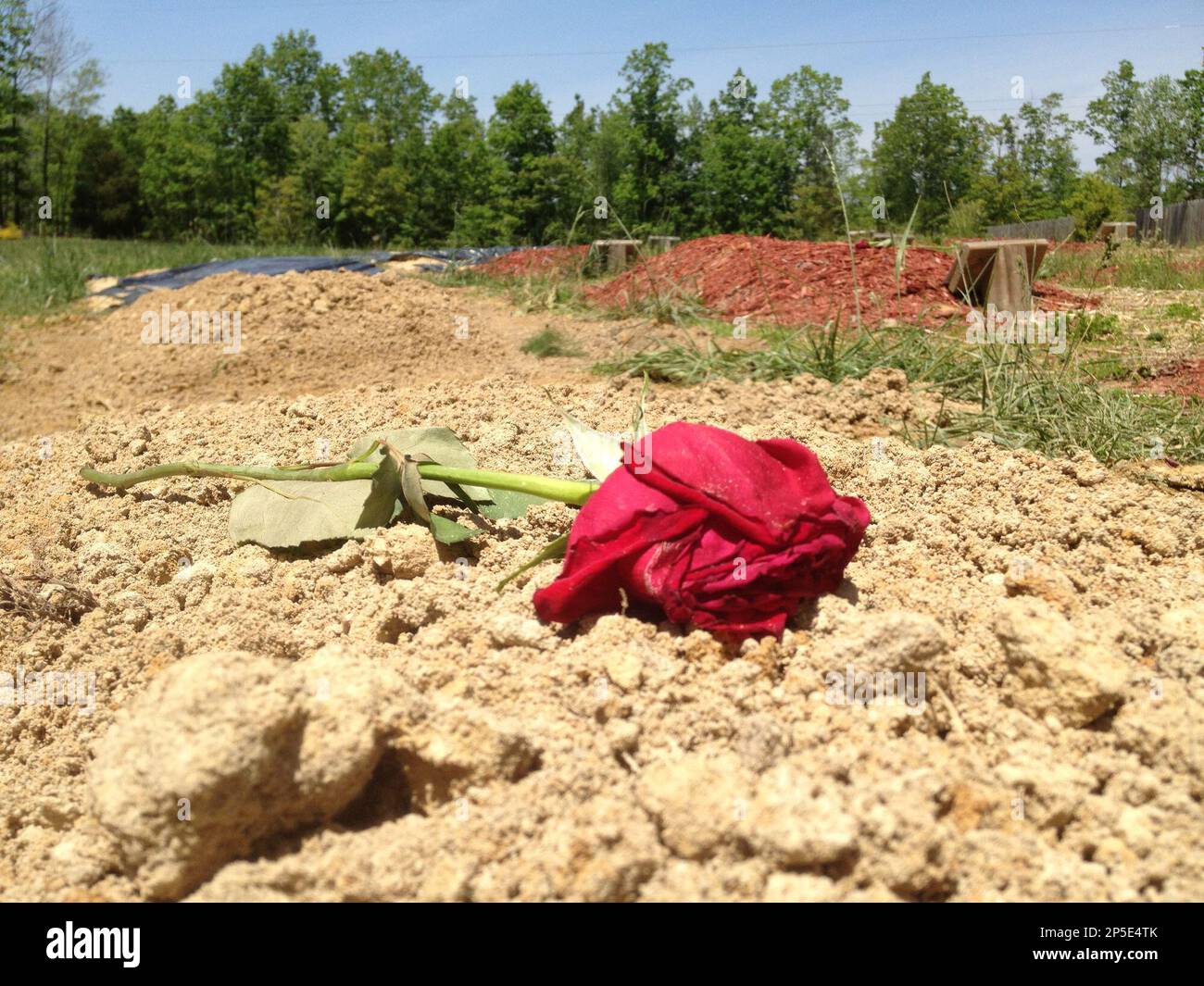 Afskedige Spaceship hyppigt ADDS THAT TSARNAEV'S GRAVE IS ONE OF TWO NEWLY DUG GRAVES AT THE CEMETERY -  Flowers are placed on one of two newly dug graves at the Doswell, Va.  cemetery where Boston