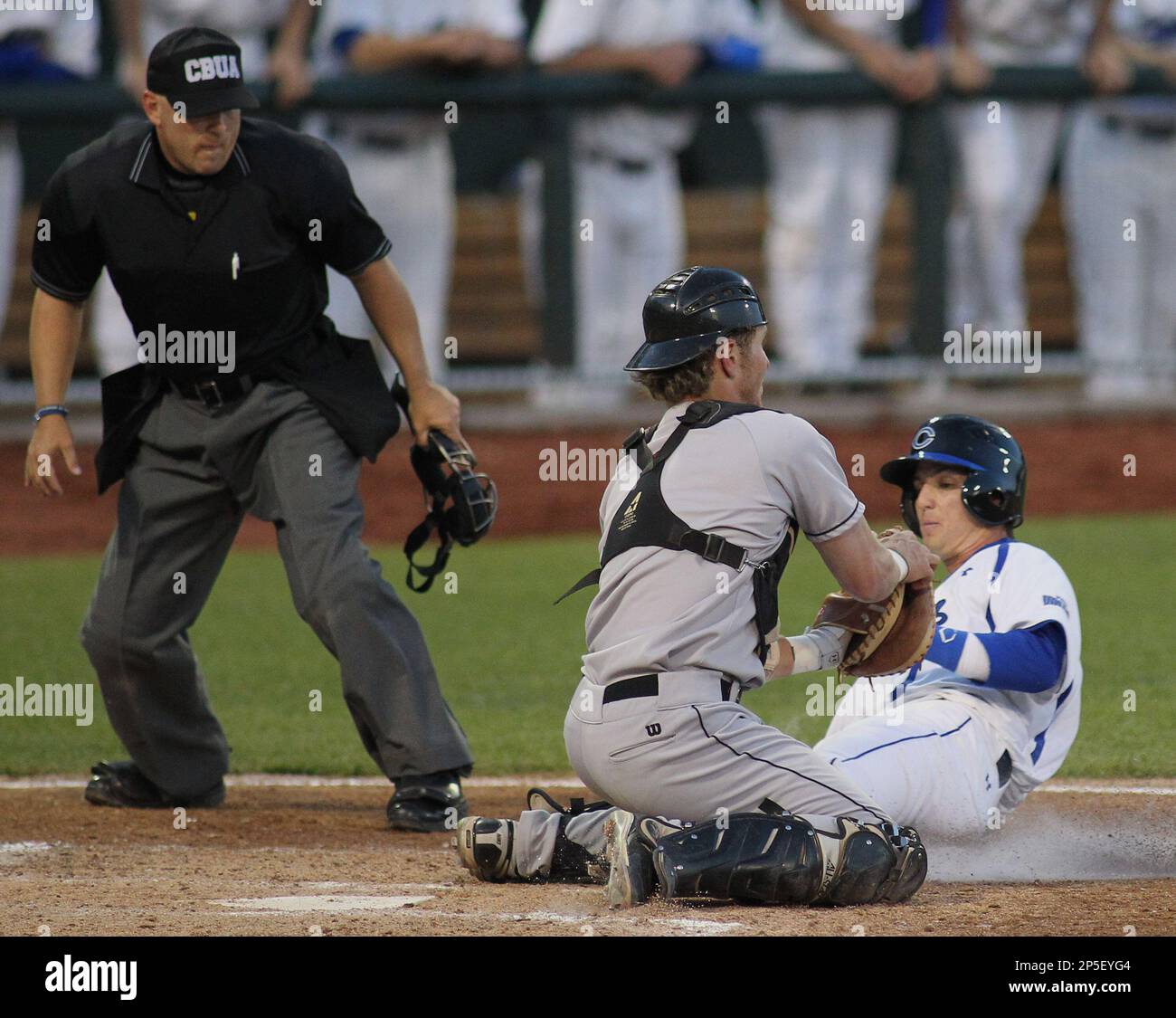 The Umpire Is Out : Nebraska Press