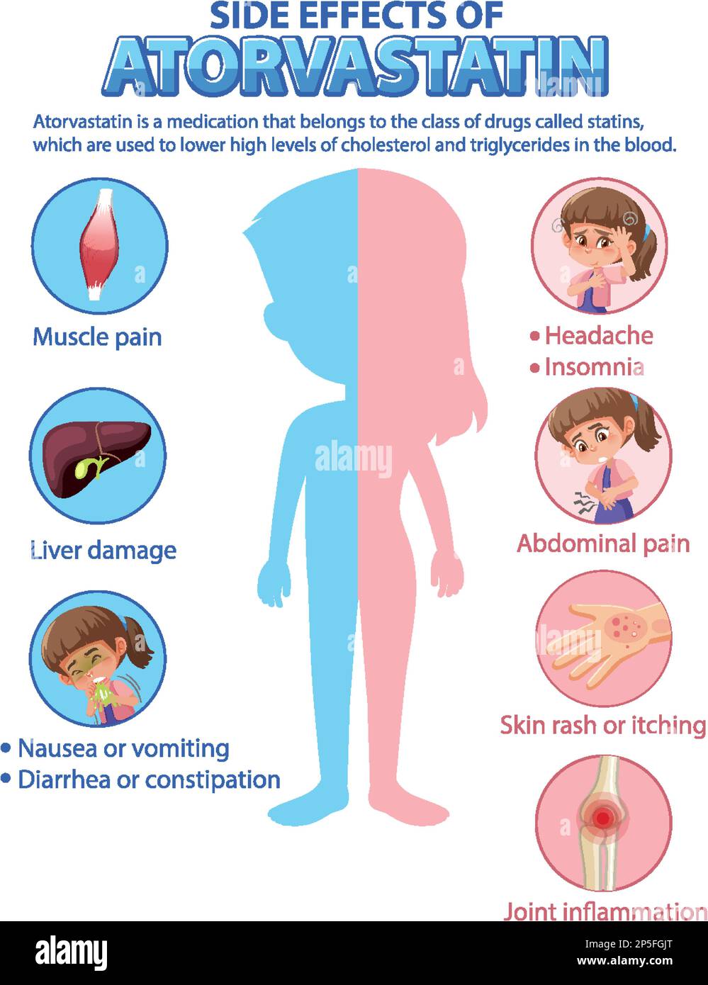 Human anatomy diagram cartoon style of atorvastatin side effects