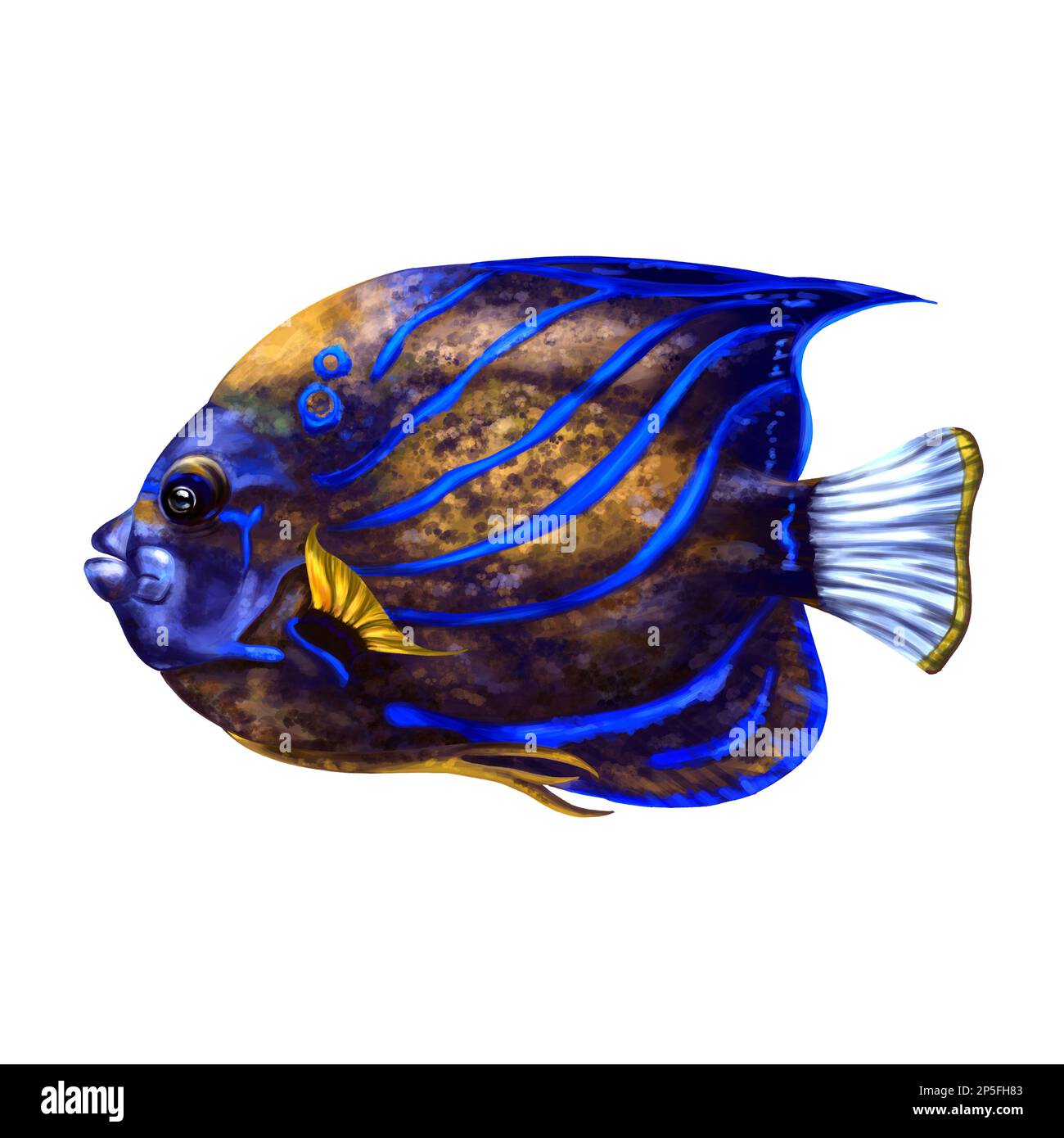 Bright blue angel fish. A tropical underwater animal. Holidays in the tropics, travel, underwater world. For postcards, souvenirs, prints. Stock Photo