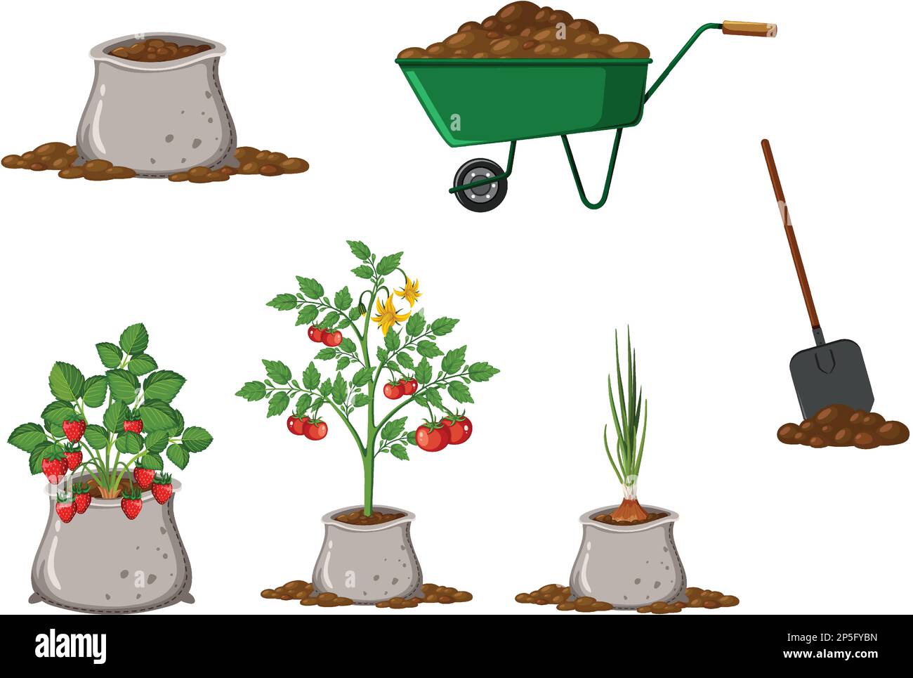 Set of plant and gardening tools and equipment illustration Stock ...