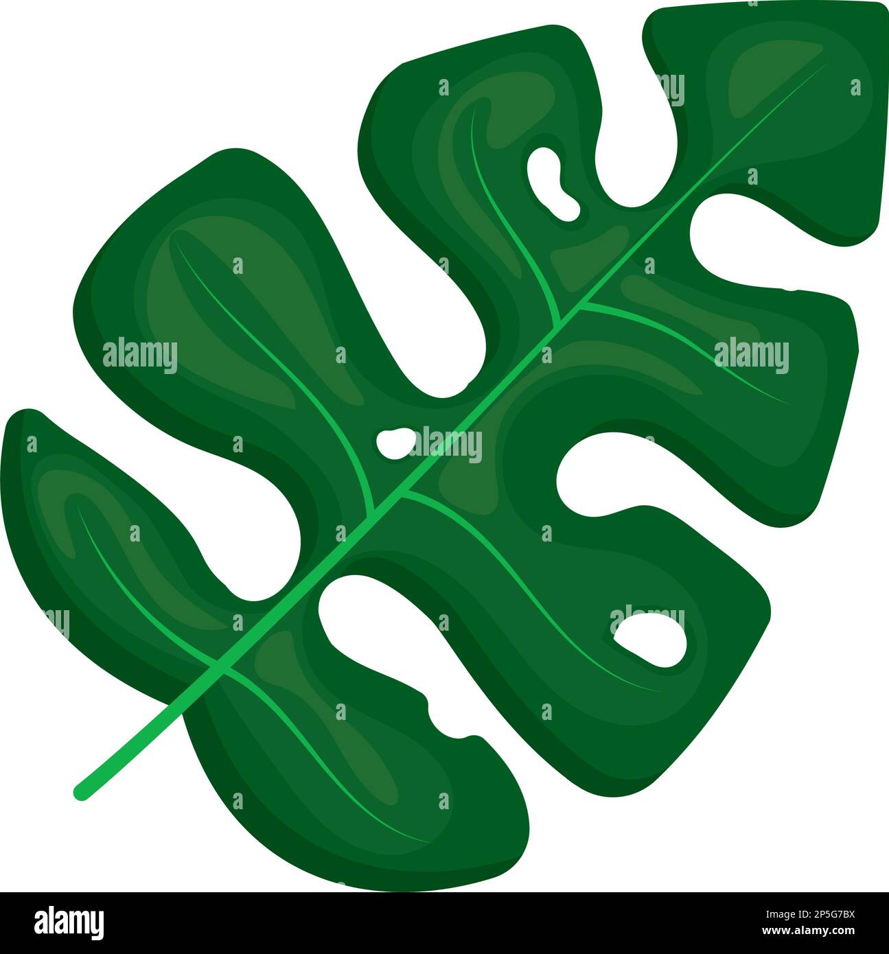 tropical leaf plant foliage Stock Vector Image & Art - Alamy
