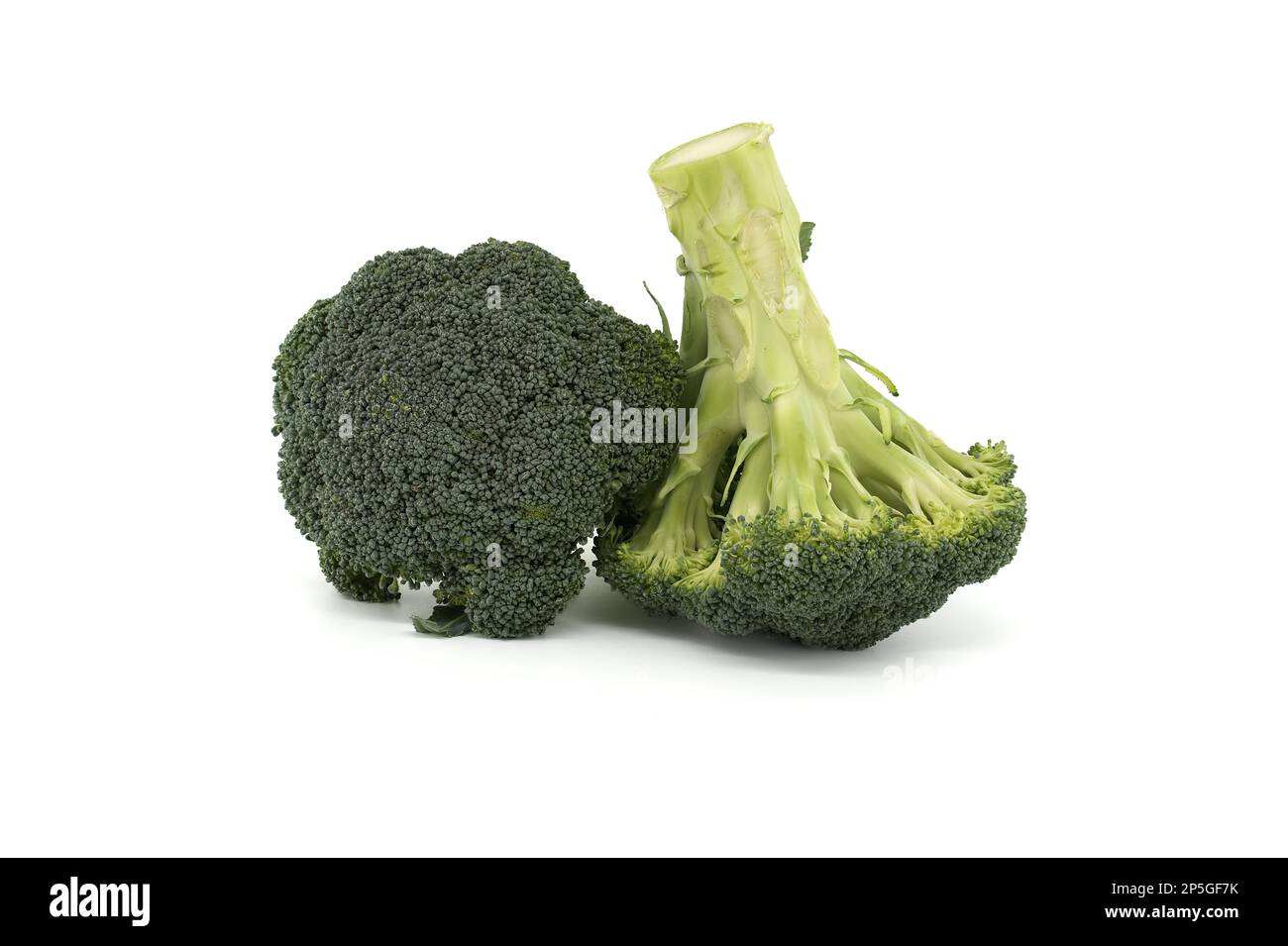 Broccoli flower heads isolated on white background, full depth of field