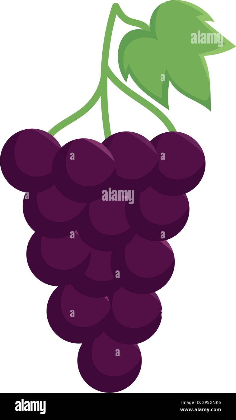 fresh grapes fruit healthy Stock Vector Image & Art Alamy