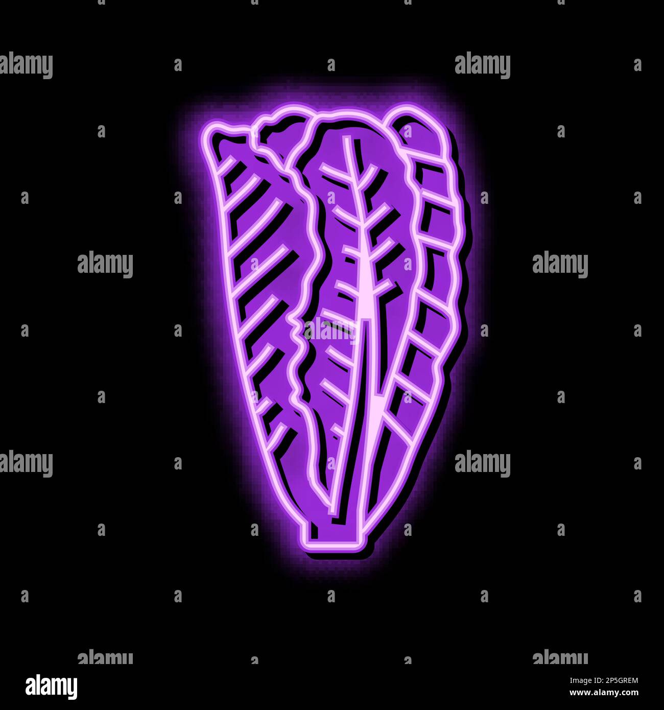 Romaine lettuce tomato Stock Vector Images - Alamy