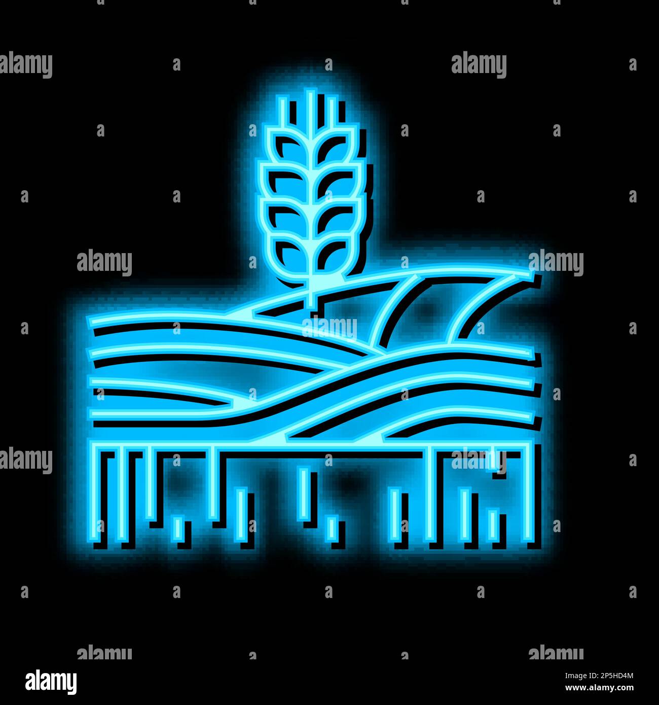 wheat growth field neon glow icon illustration Stock Vector Image & Art ...