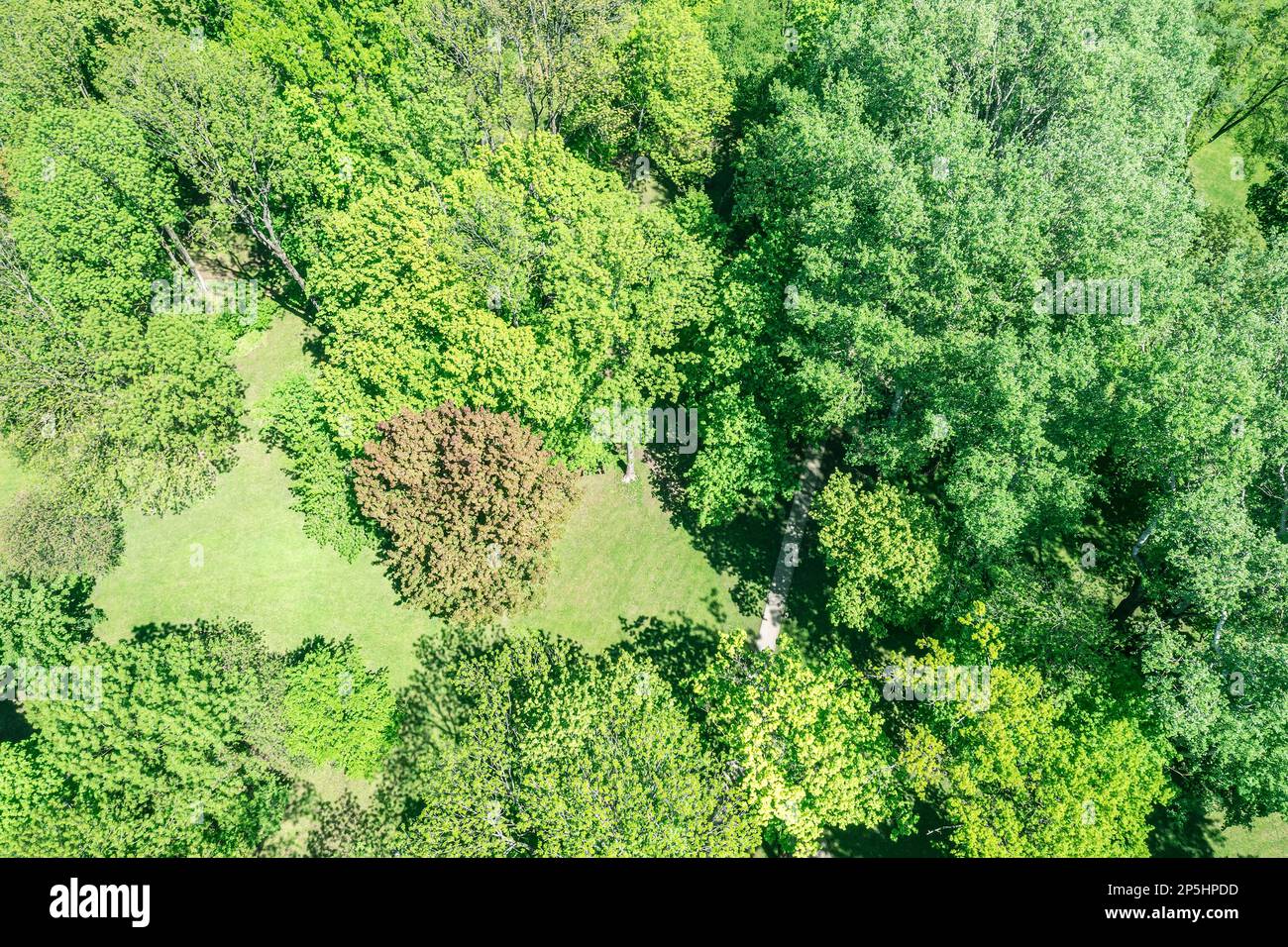 Lush green lawn park hi-res stock photography and images - Alamy