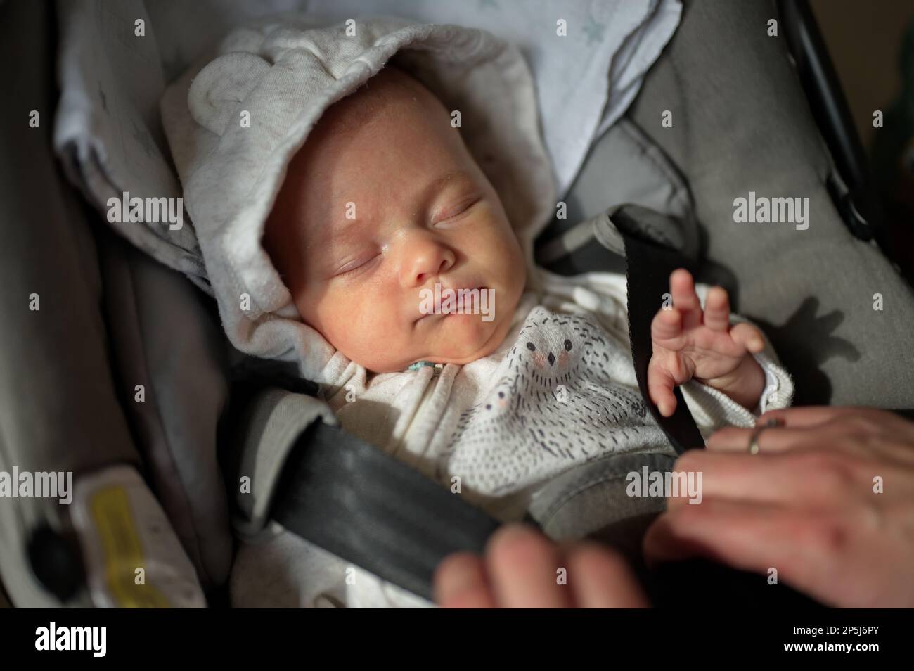 2 month old in stroller cheap