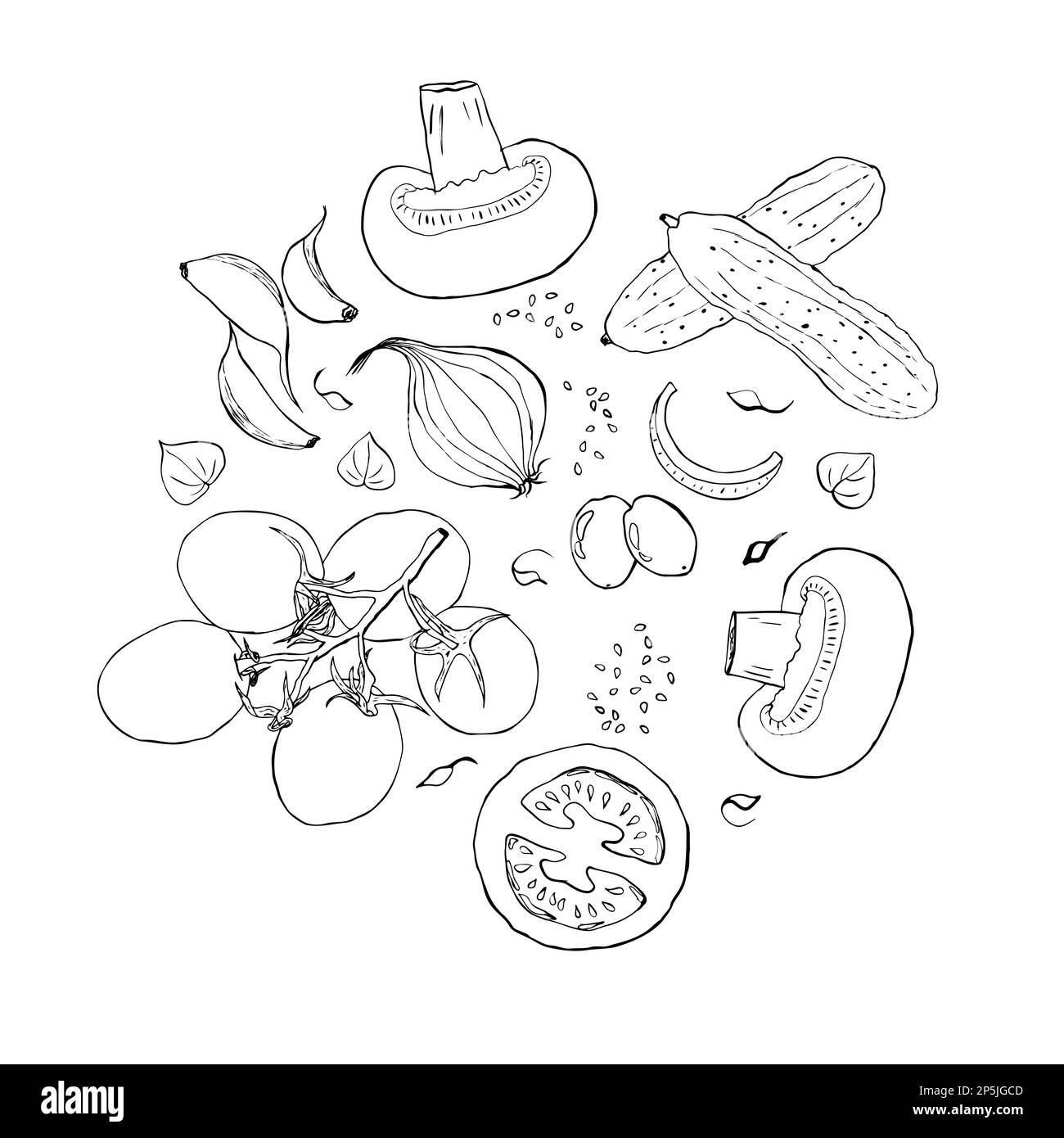 Broccoli sketch Black and White Stock Photos & Images Alamy