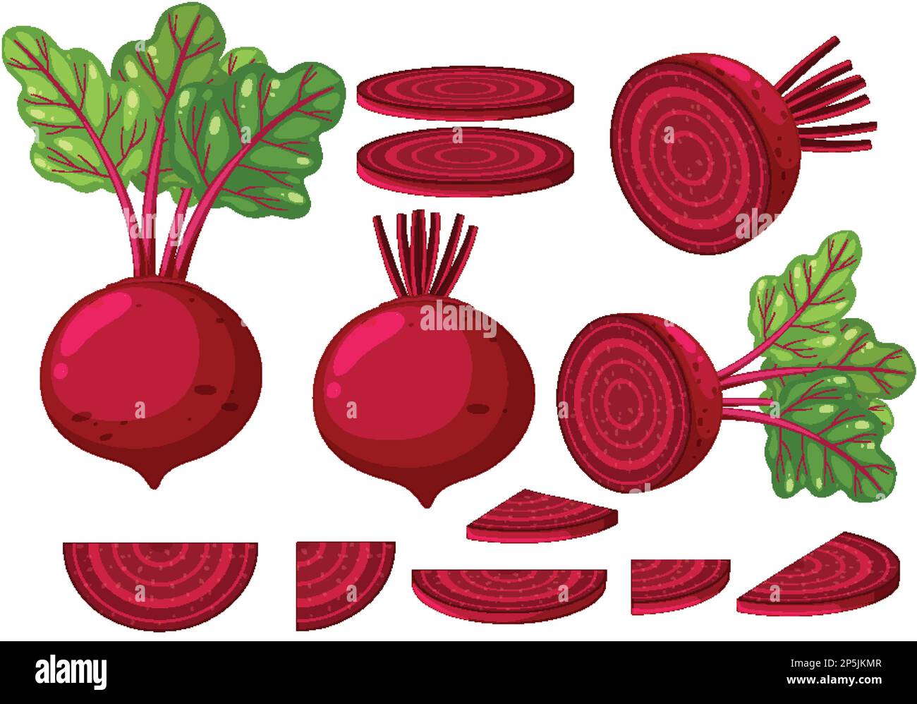 set-of-beetroots-in-different-forms-illustration-stock-vector-image