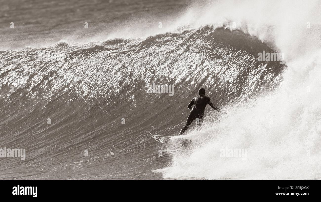 Surfing surfer unrecognizable in hood and wetsuit rear action sepia