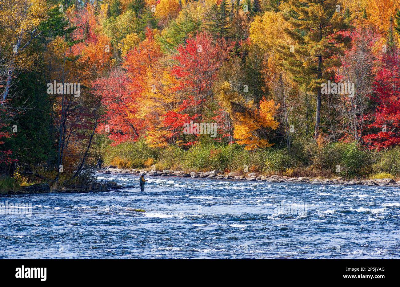 Men flyfishing on the Kennebec River West Outlet, near the Rockwood