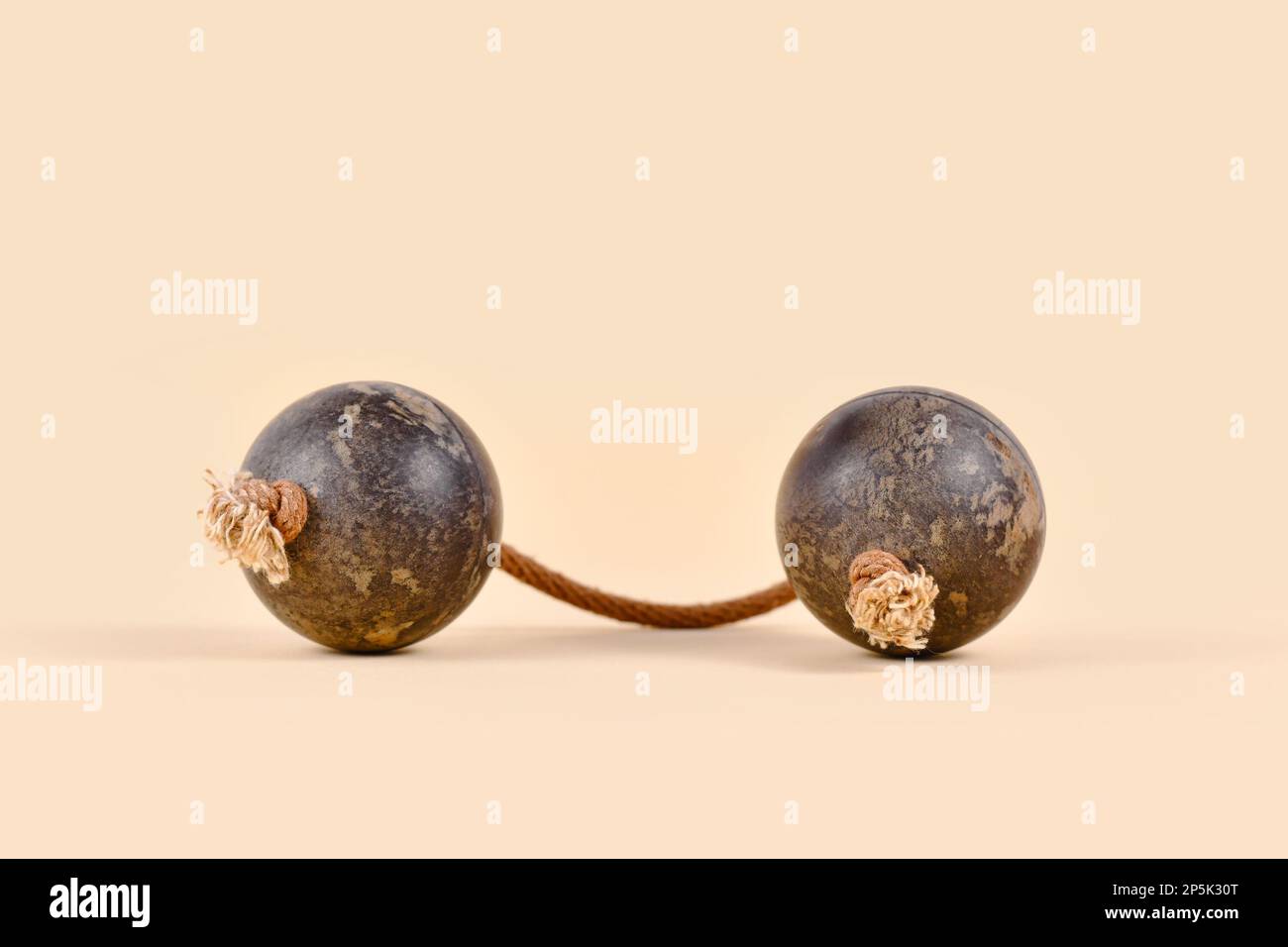 African traditional hand percussion musical ball shaker instrument