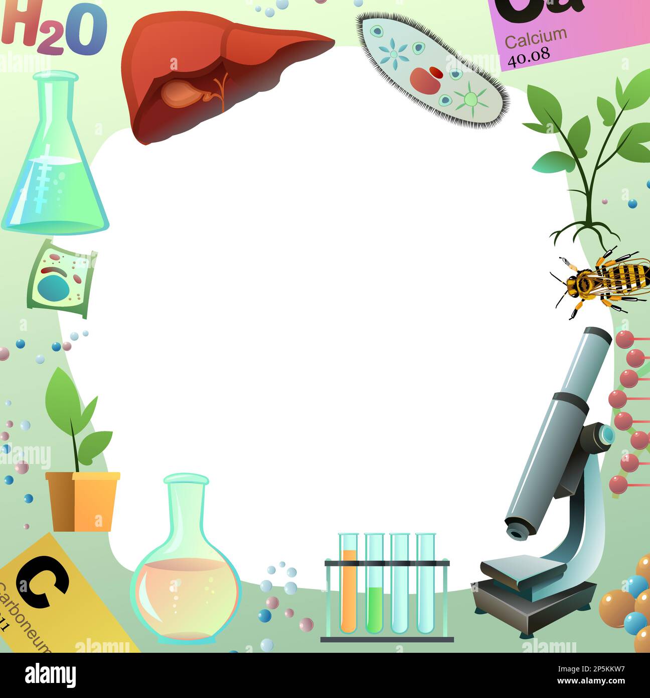 Chemistry picture frame around edge of picture. Round proportion. Science items picture. Study of living cells of plants, animals and humans. Isolated Stock Vector