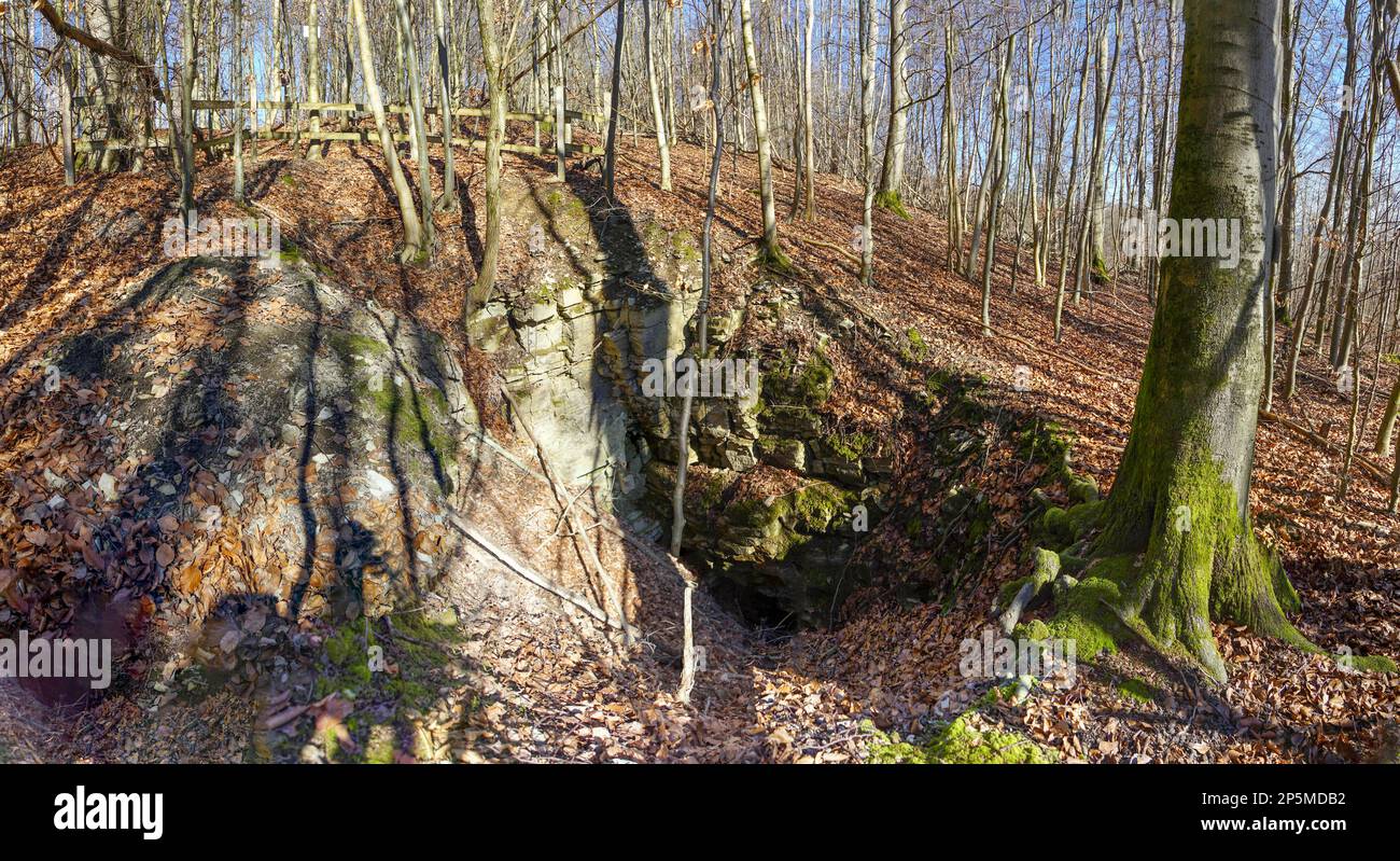 Wandern im wald hi-res stock photography and images - Alamy