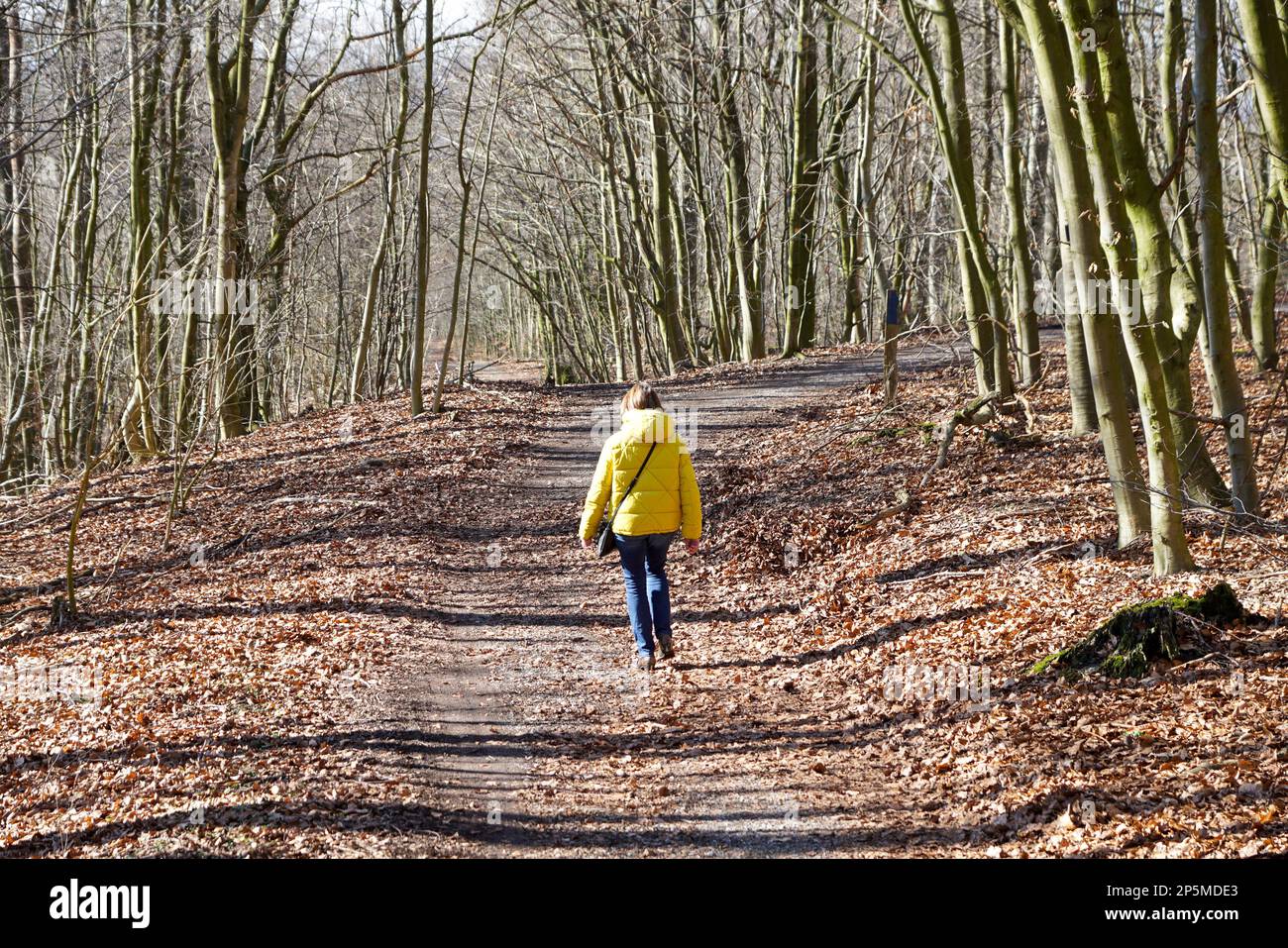 Wandern durch den Teutoburger Wald Stock Photo