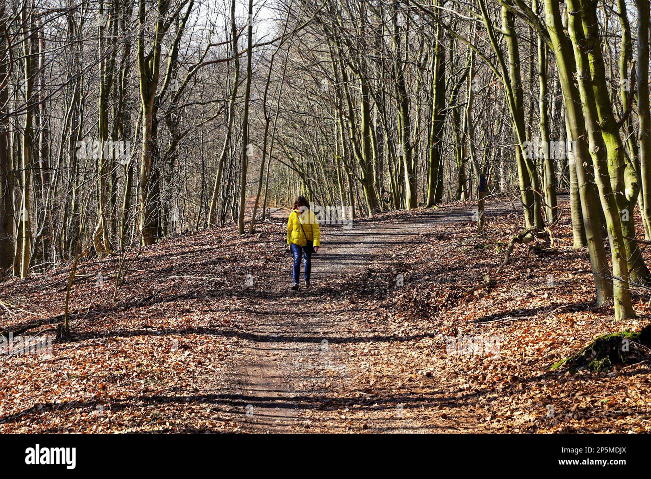 Wandern durch den Teutoburger Wald Stock Photo