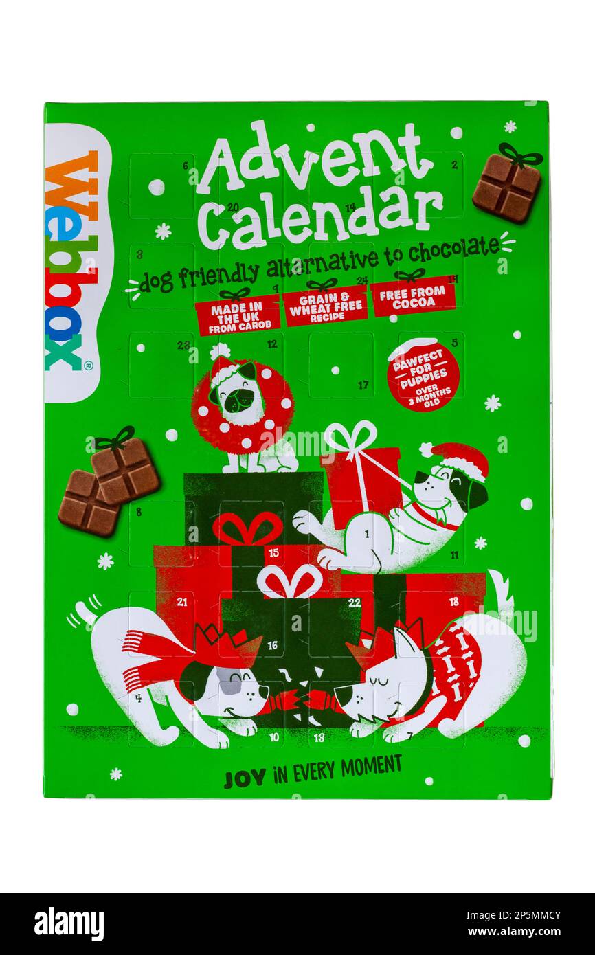 Dog Advent Calendar for dogs by box isolated on white background