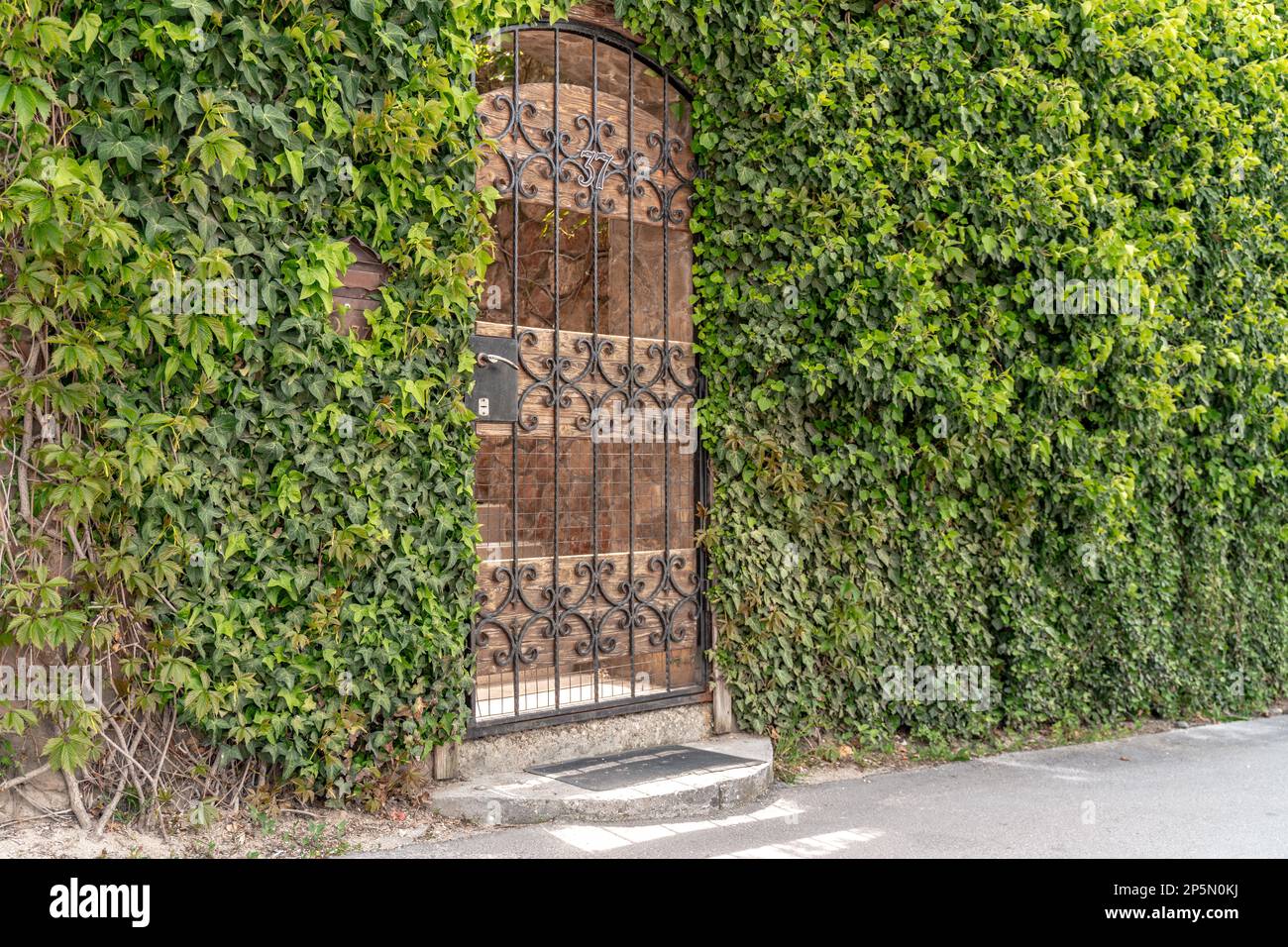 A Grotto With A White Lattice In A Stone Wall Overgrown