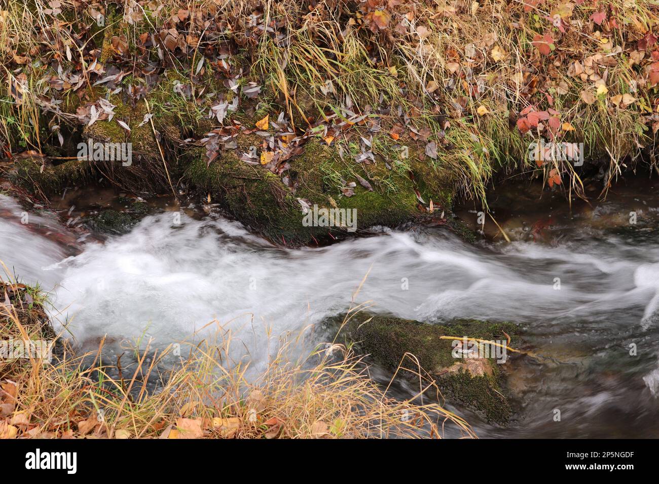 close-up view of a beautiful stream of water flowing down a narrow path ...