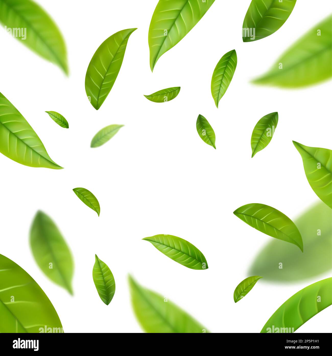 Realistic green tea leaves in motion Stock Vector Image & Art - Alamy