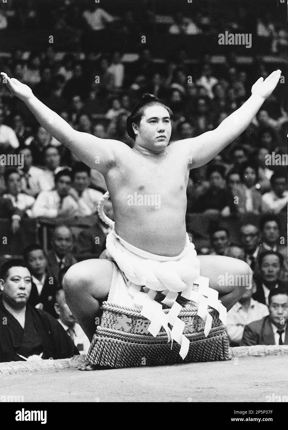 Grand Sumo International Official Tee, Dark Grand Sumo International Official Tee, Dark