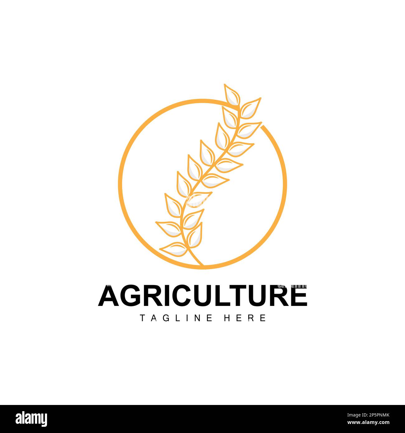 Rice Logo, Agriculture Design, Vector Wheat Rice Icon Template Illustration Stock Vector