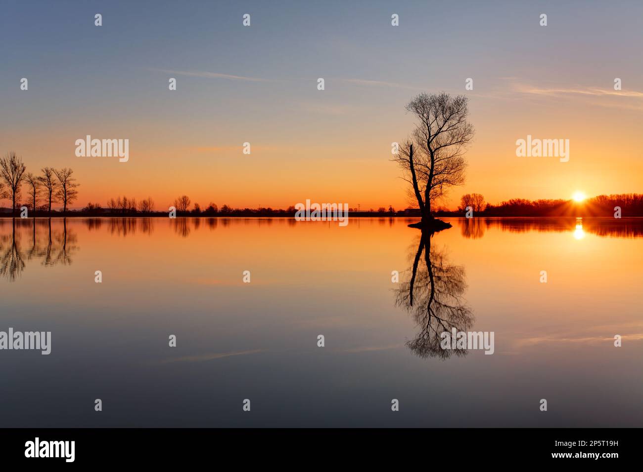 Silhouette tree at sunset in lake Stock Photo