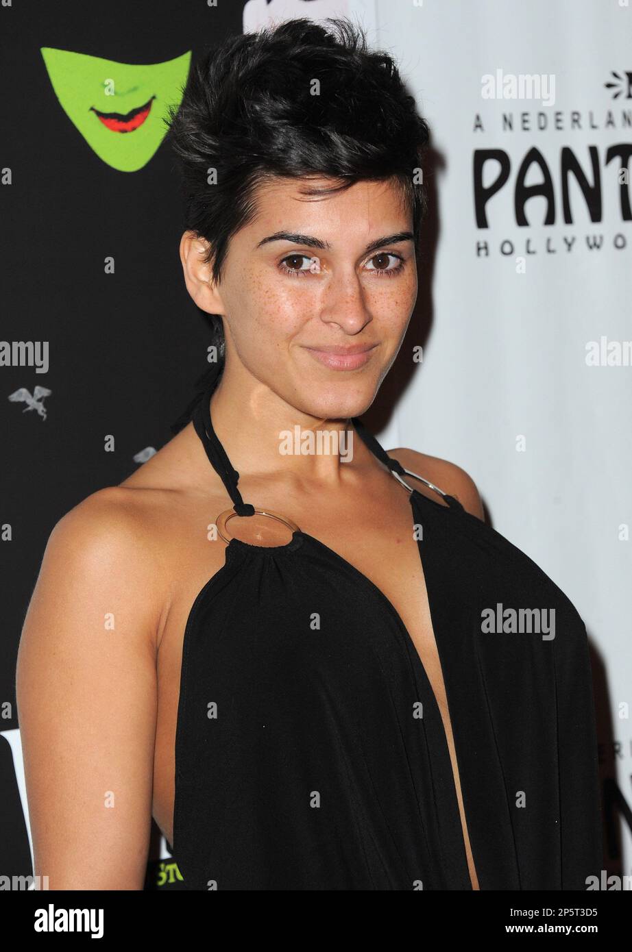 HOLLYWOOD, CA DECEMBER 01 Shawna Craig arrives at the "Wicked" Los