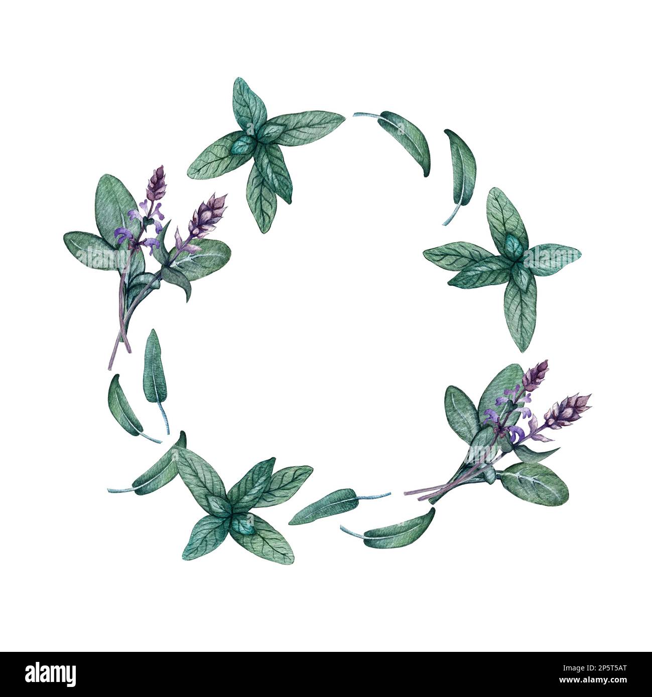 wreath of sage leaves and flowers Stock Photo Alamy