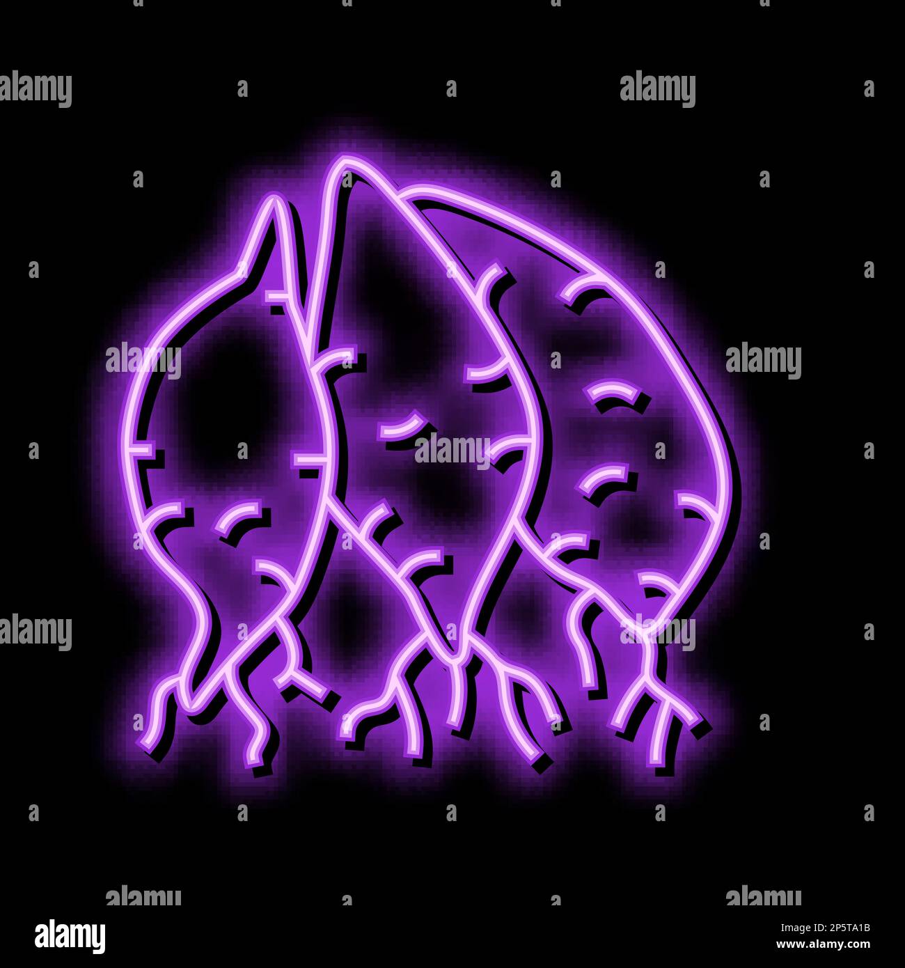 Purple sweet potatoes Stock Vector Images - Alamy 