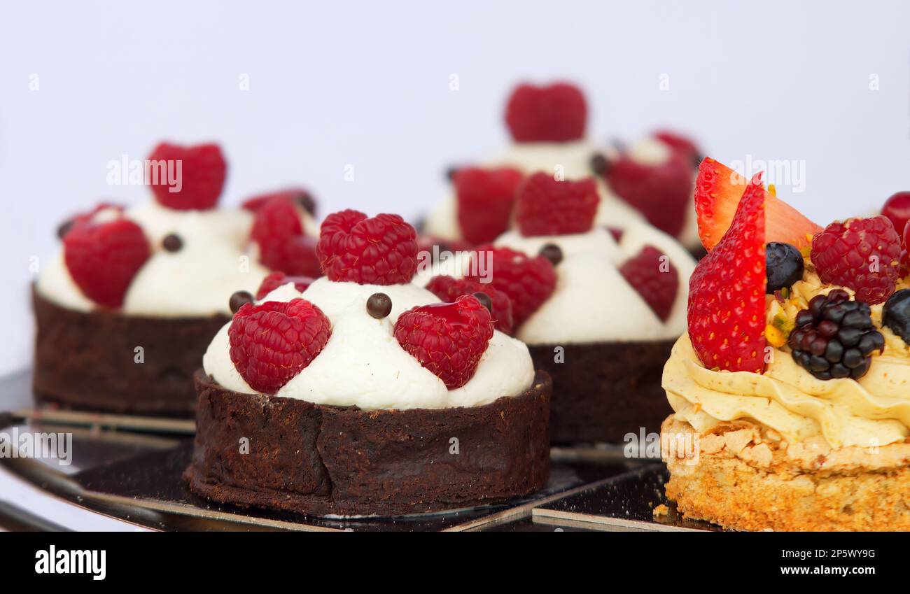 Chocolate tart filled with farmers cheese cream and embellished with ...